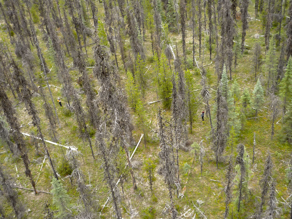 Crooked River Provincial Park