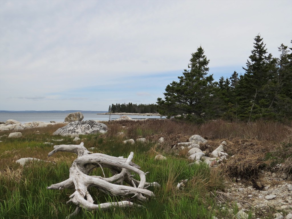 Black Duck Cove Provincial Park
