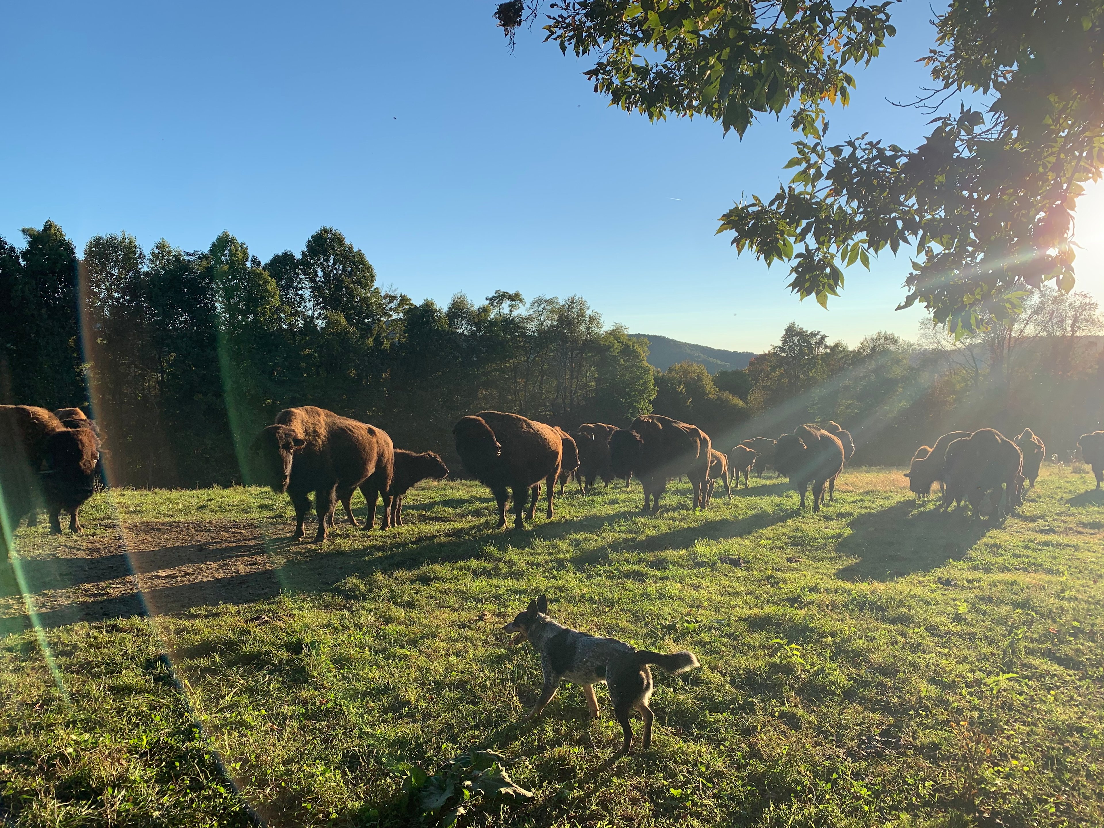 The Pointe at Riffle Farms