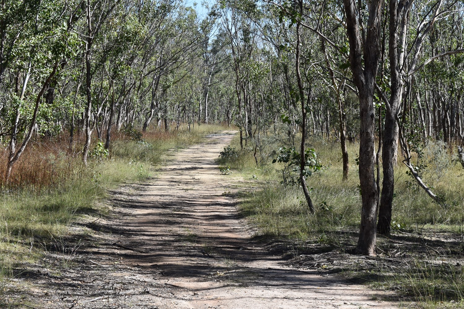 Currys Gap State Conservation Area