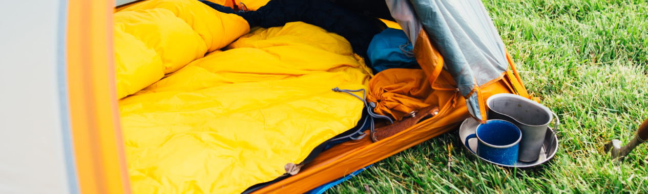 Frogs Hole Nature Reserve