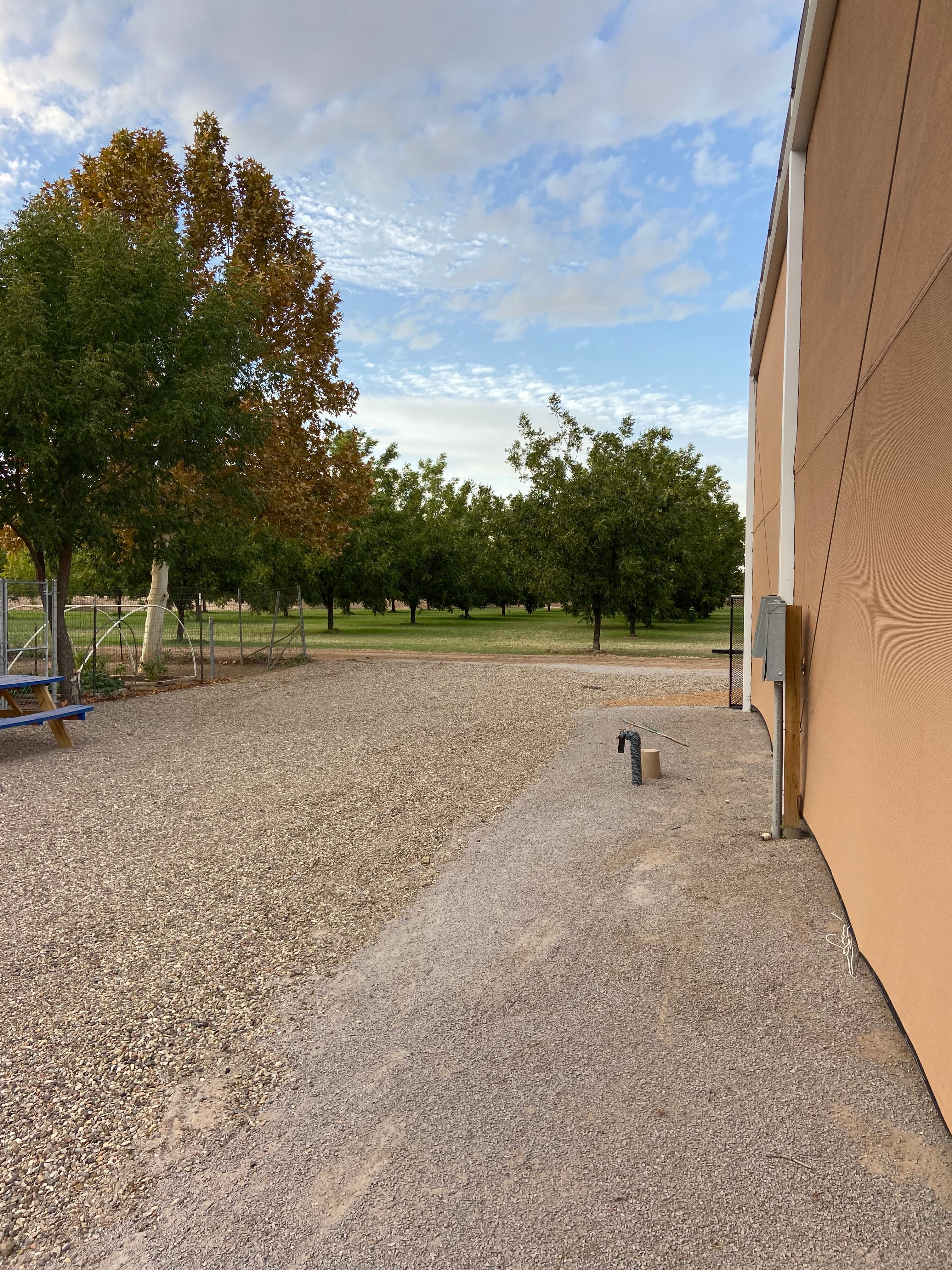 Site #1 Summer before new privacy fence