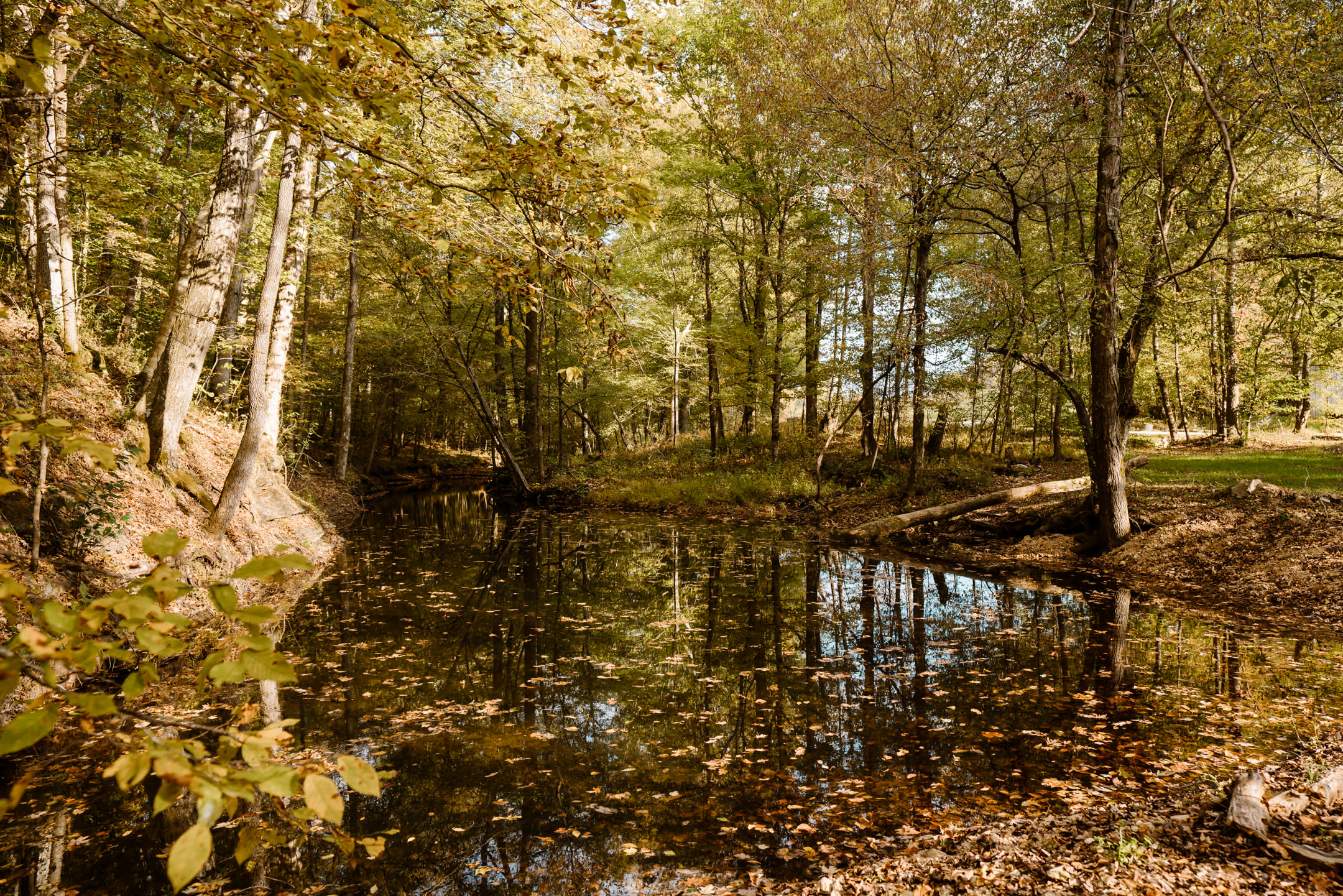 Cool off in this little swimming hole surrounded by trees.