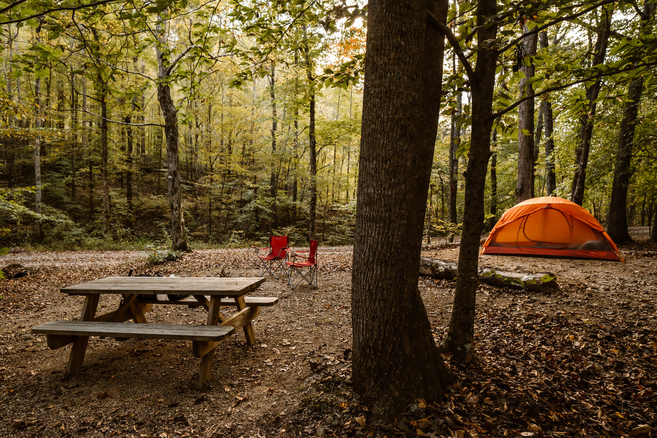 Each campsite has plenty of space to sprawl out and set up.