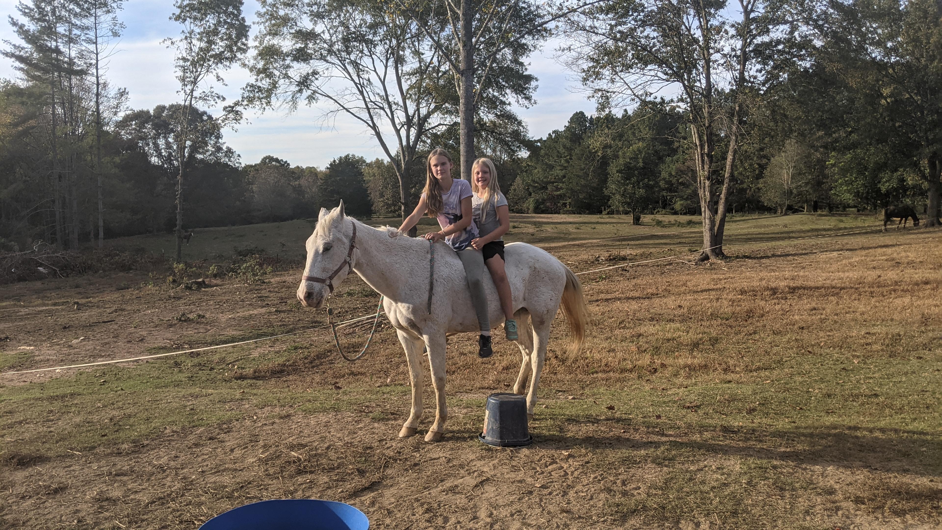 Oak Creek Horse Farm