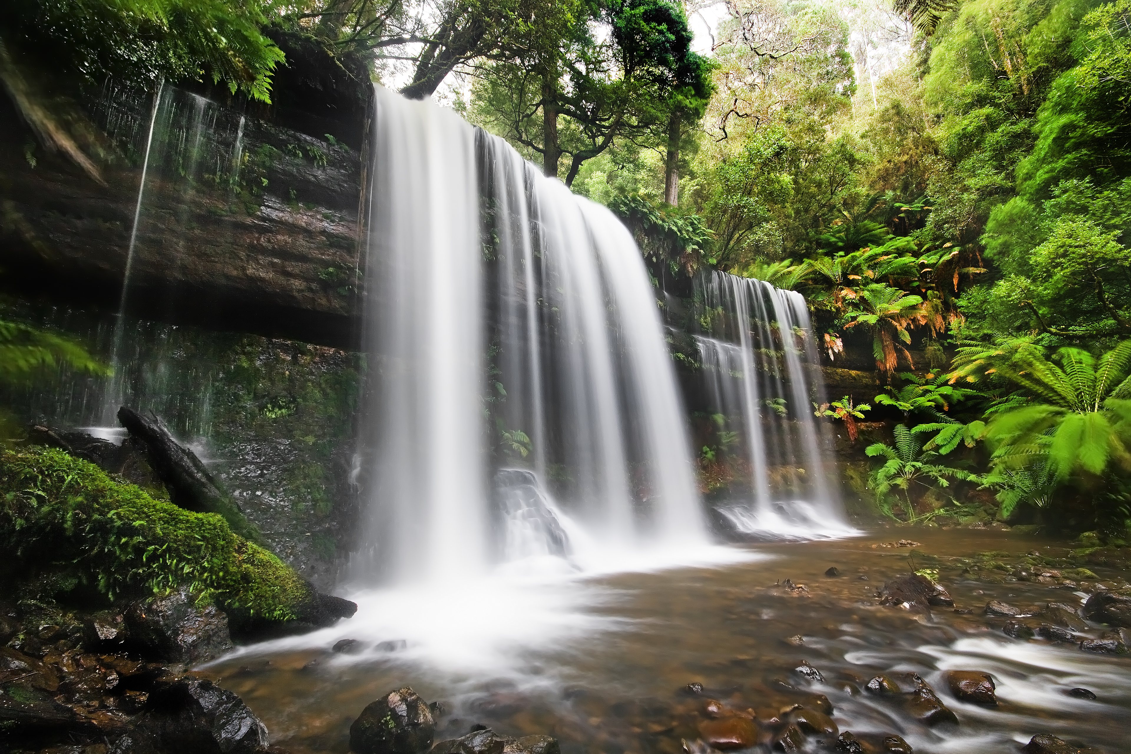 Mount Field National Park