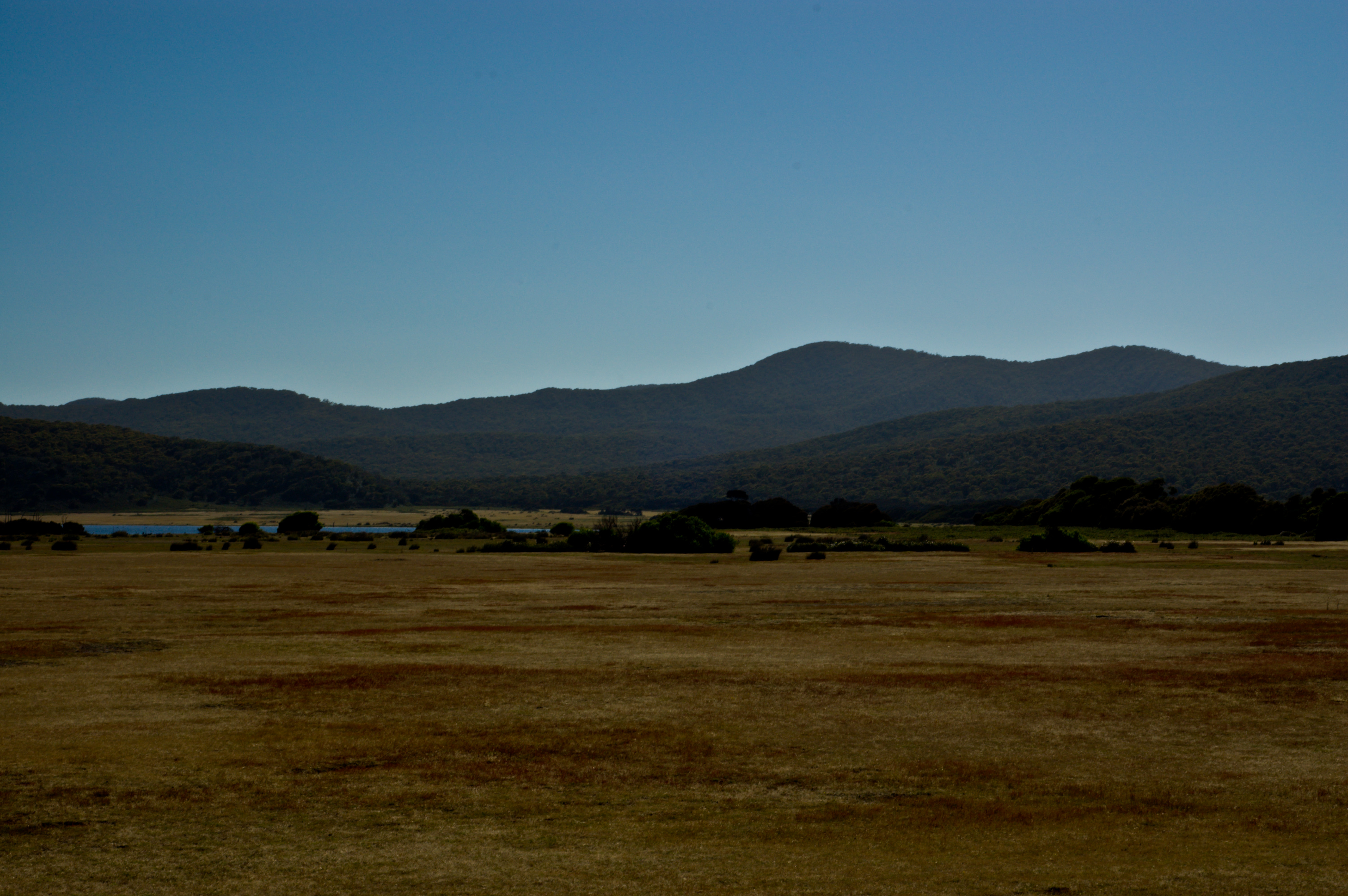 Narawntapu National Park