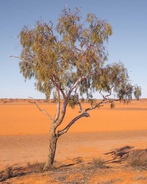 Kati Thanda-Lake Eyre National Park