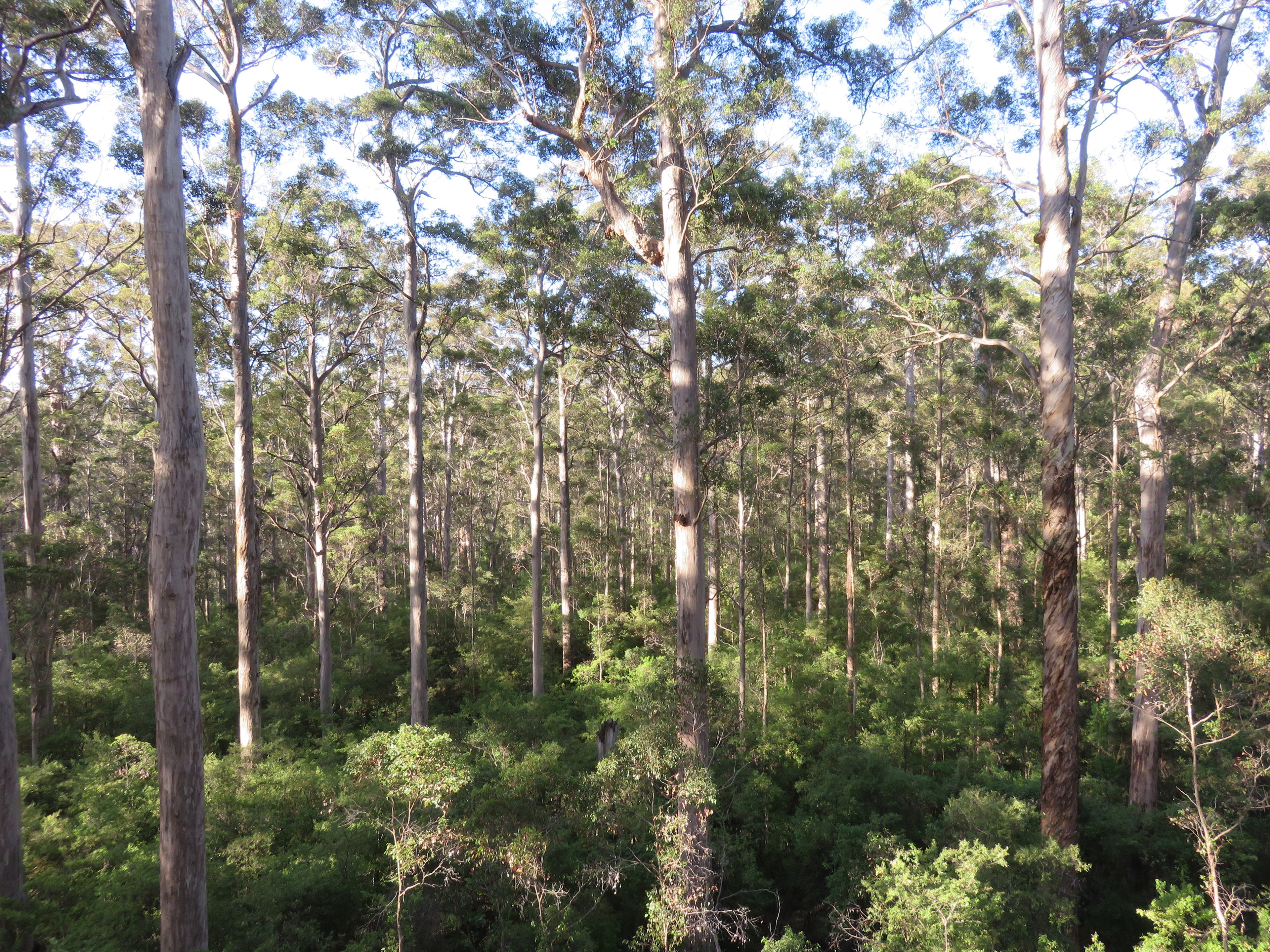 Warren National Park