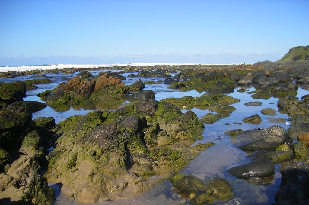 Worimi National Park