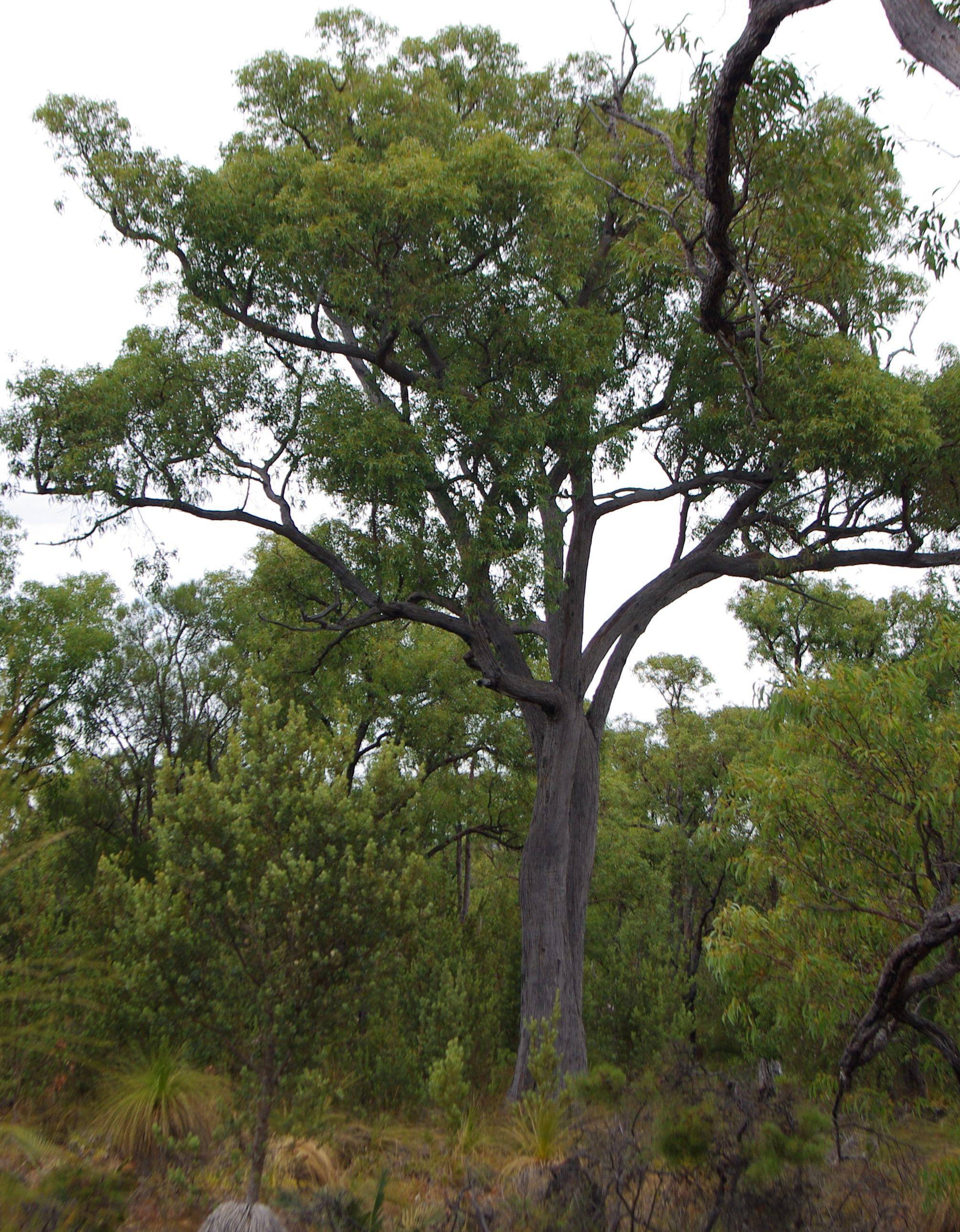 Greenmount National Park