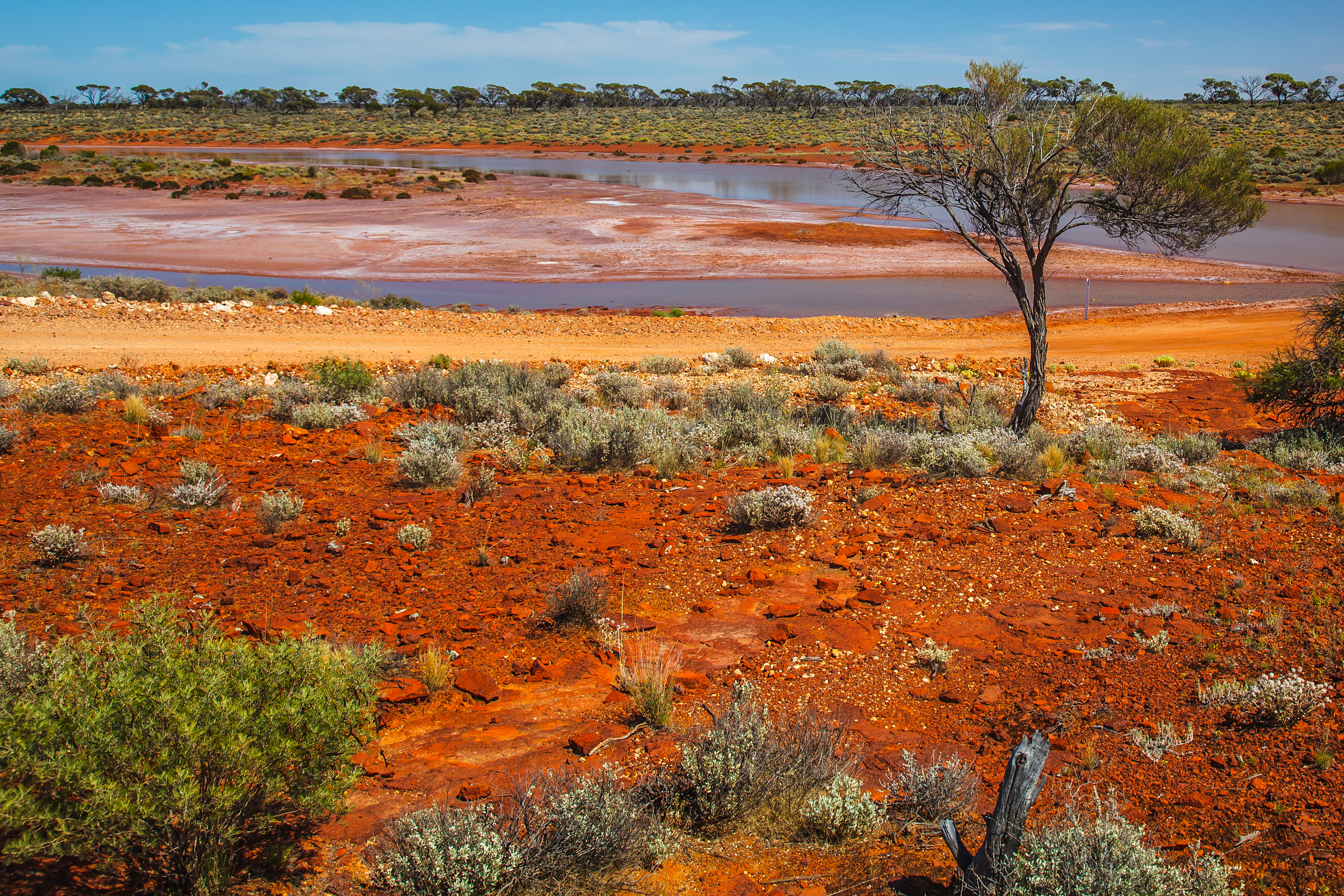 Lake Gairdner National Park