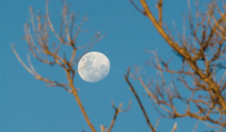 Dthinna Dthinnawan National Park