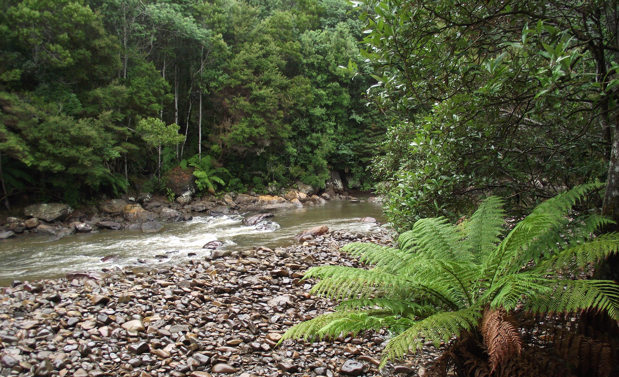 Savage River National Park