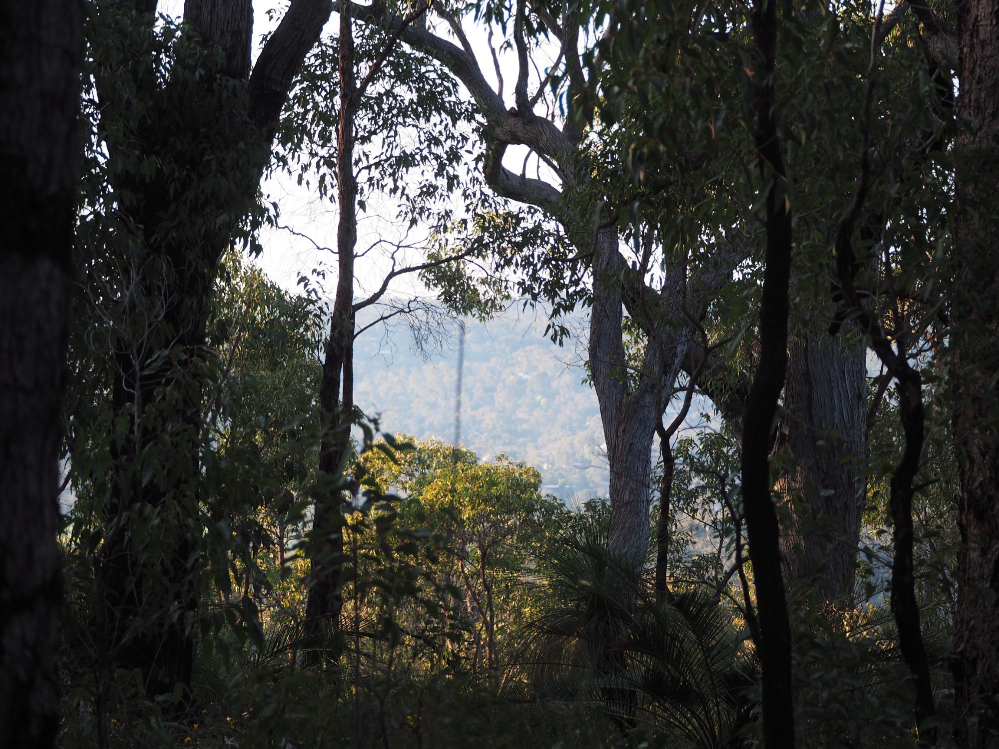 Gooseberry Hill National Park