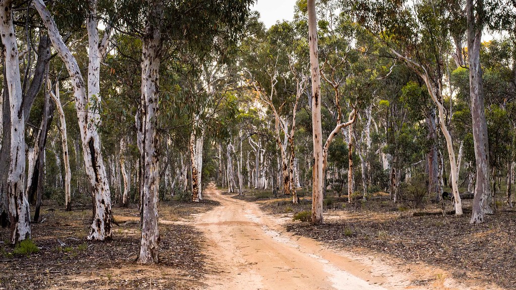 Wandoo National Park