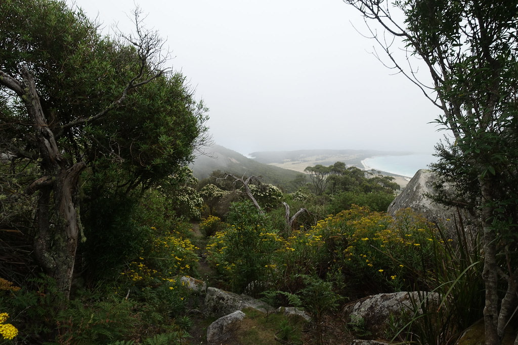 Strzelecki National Park