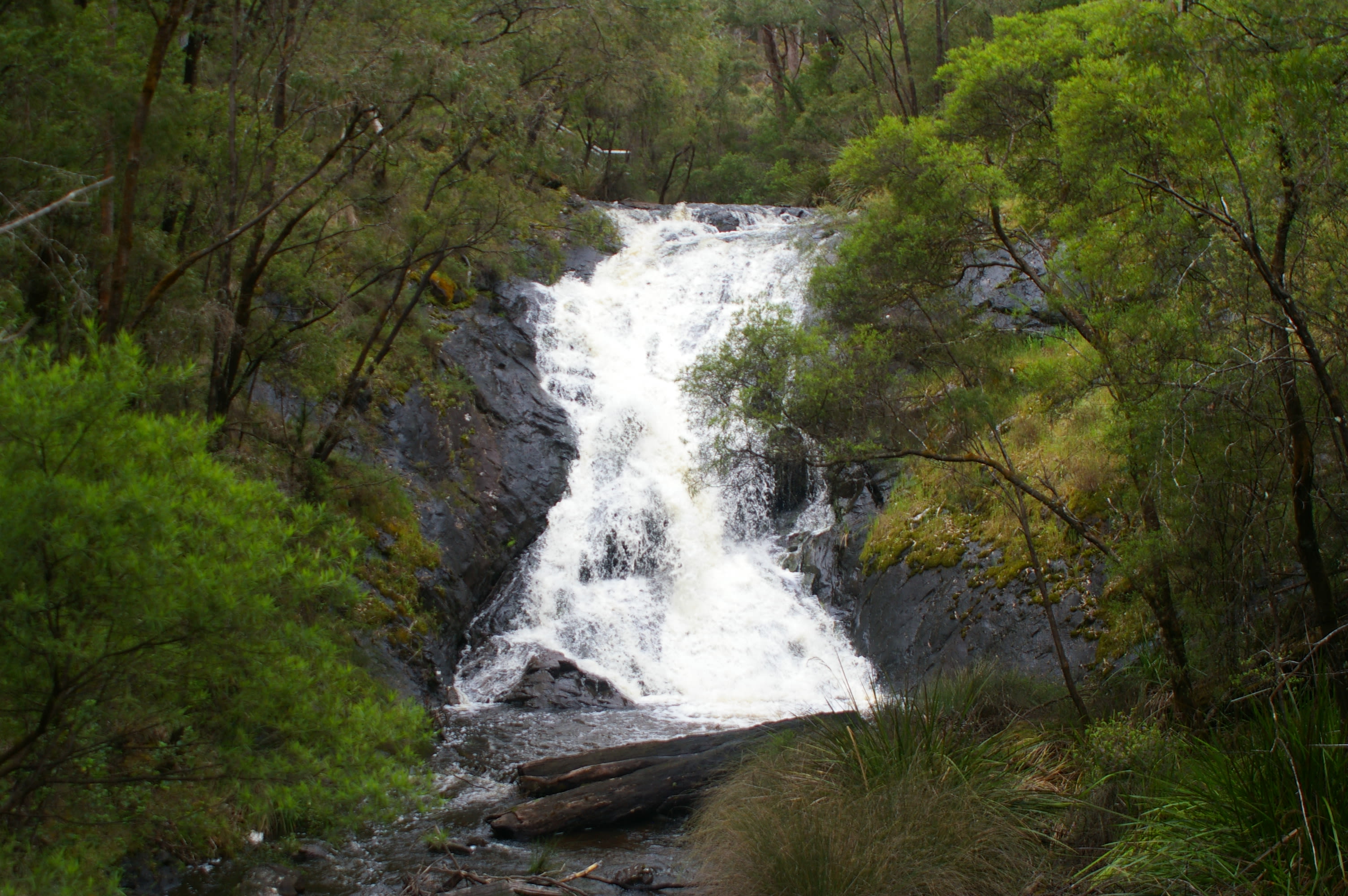 Greater Beedelup National Park