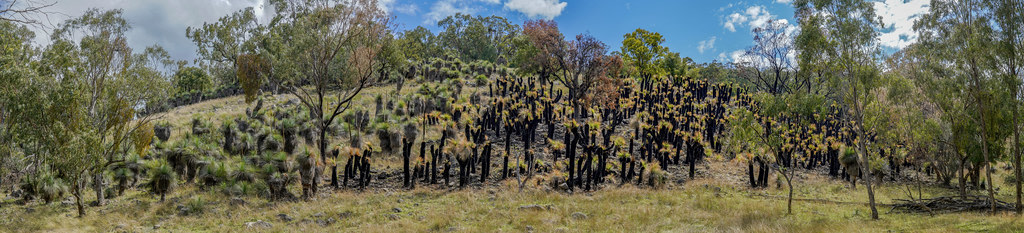 Crawney Pass National Park