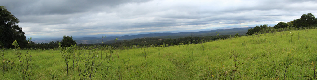 Ravensbourne National Park