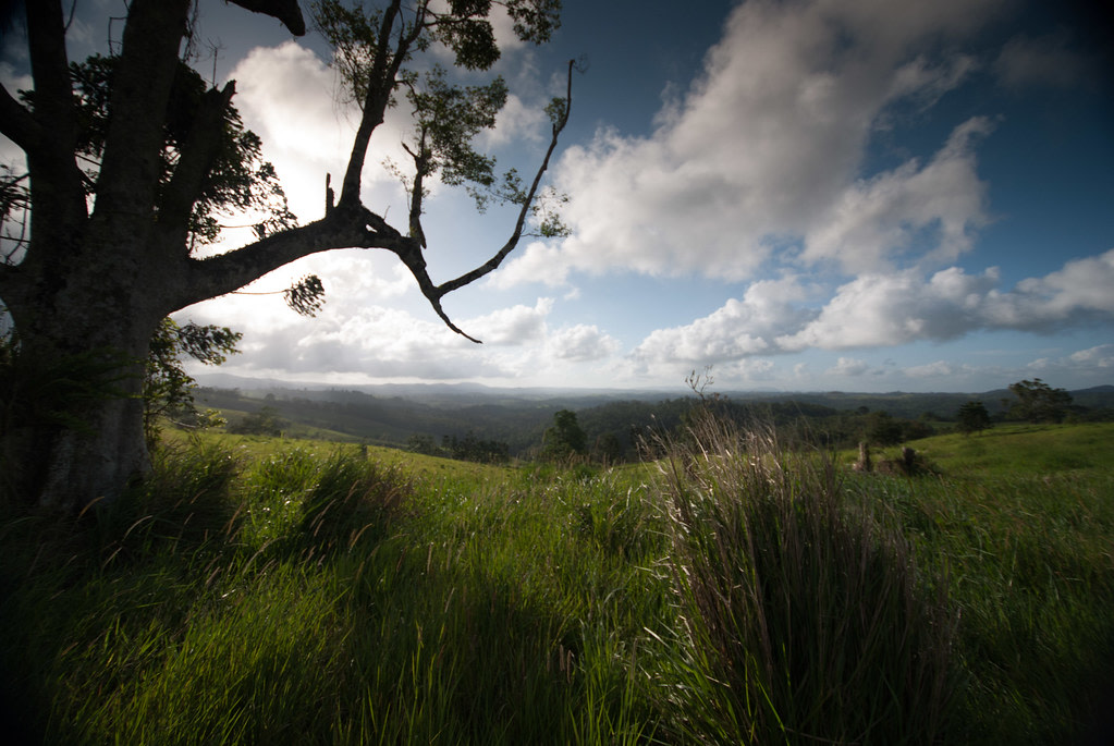 Wooroonooran National Park