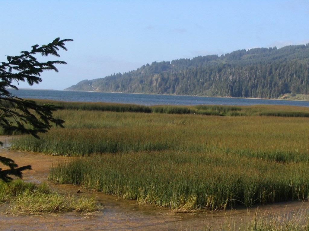 Harry A. Merlo State Recreation Area