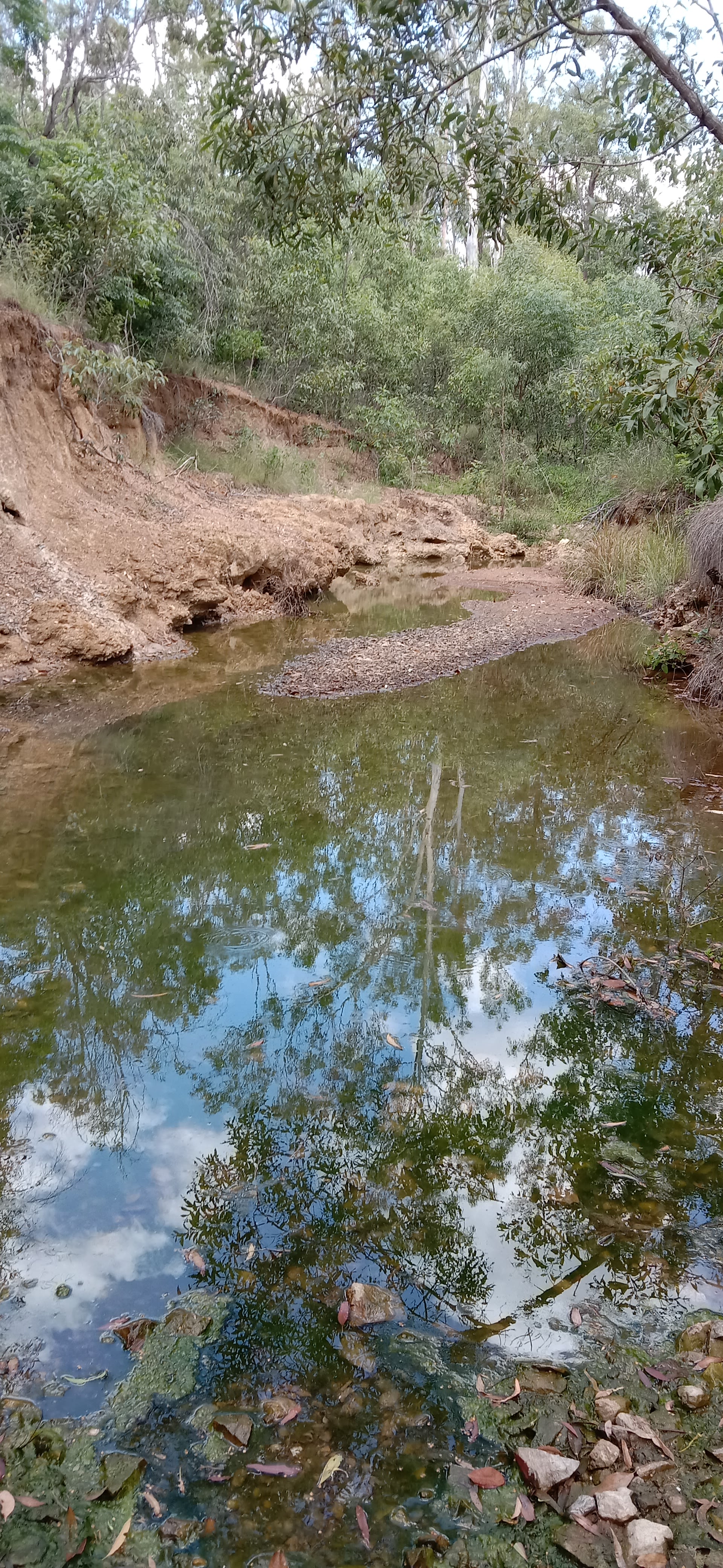 Creek