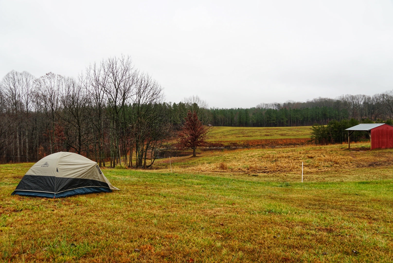Site overview