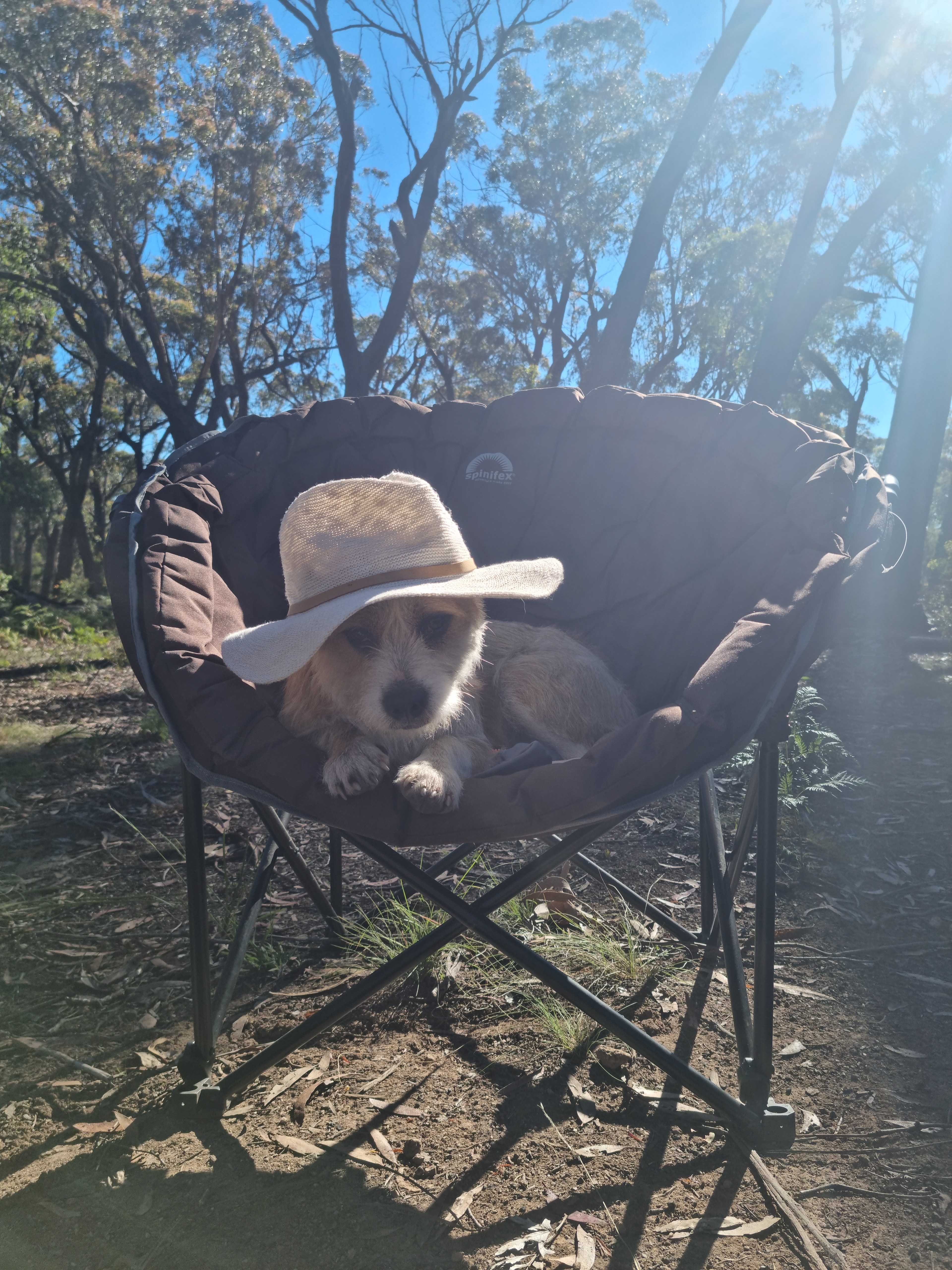 Monastery of 11 Strings