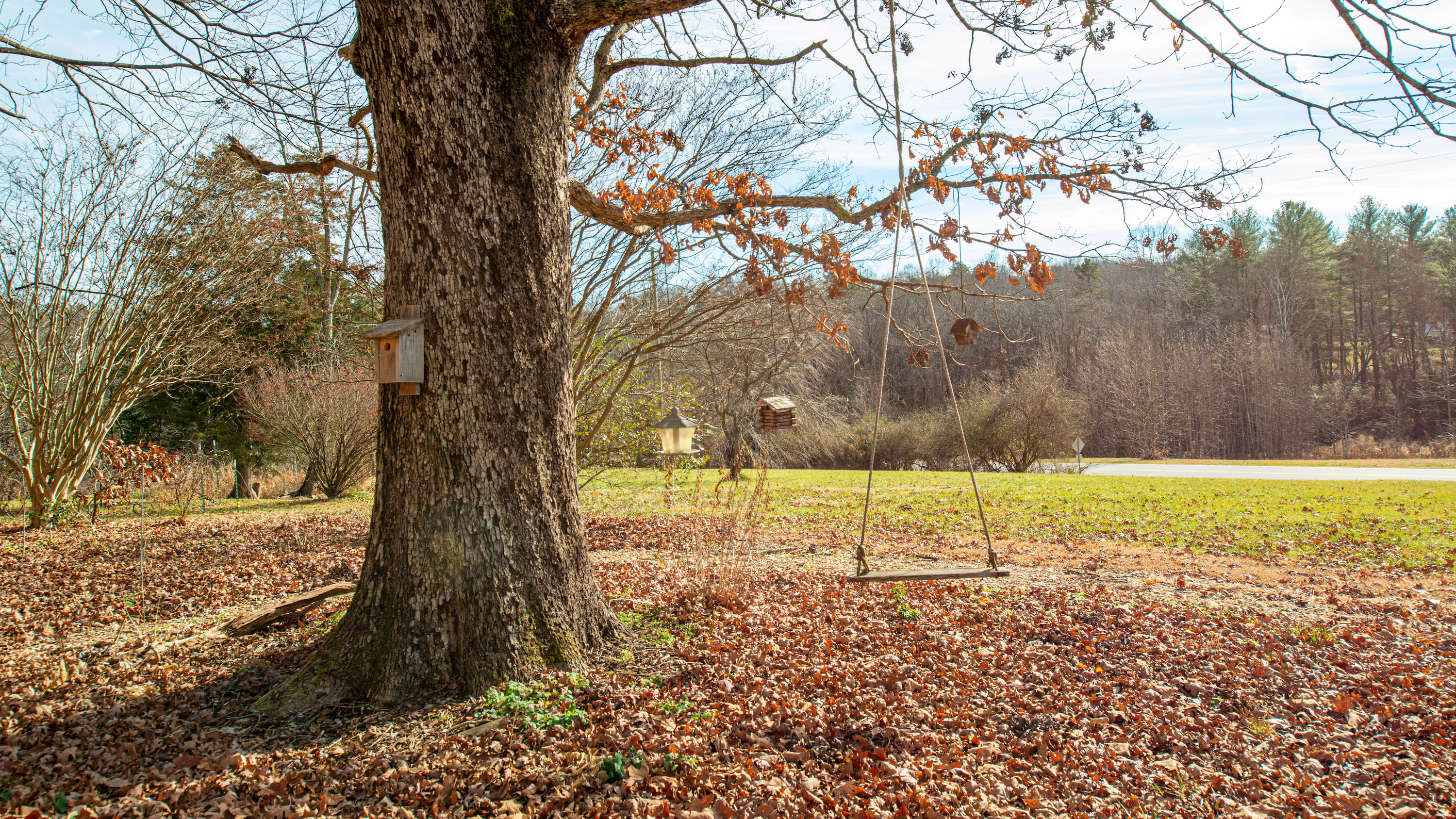Eden Oaks Vineyard & Campground