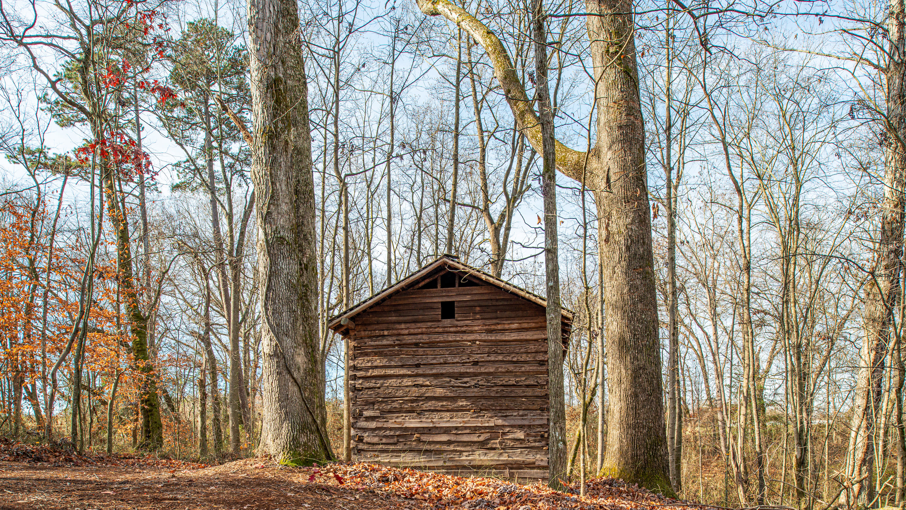 Eden Oaks Vineyard & Campground