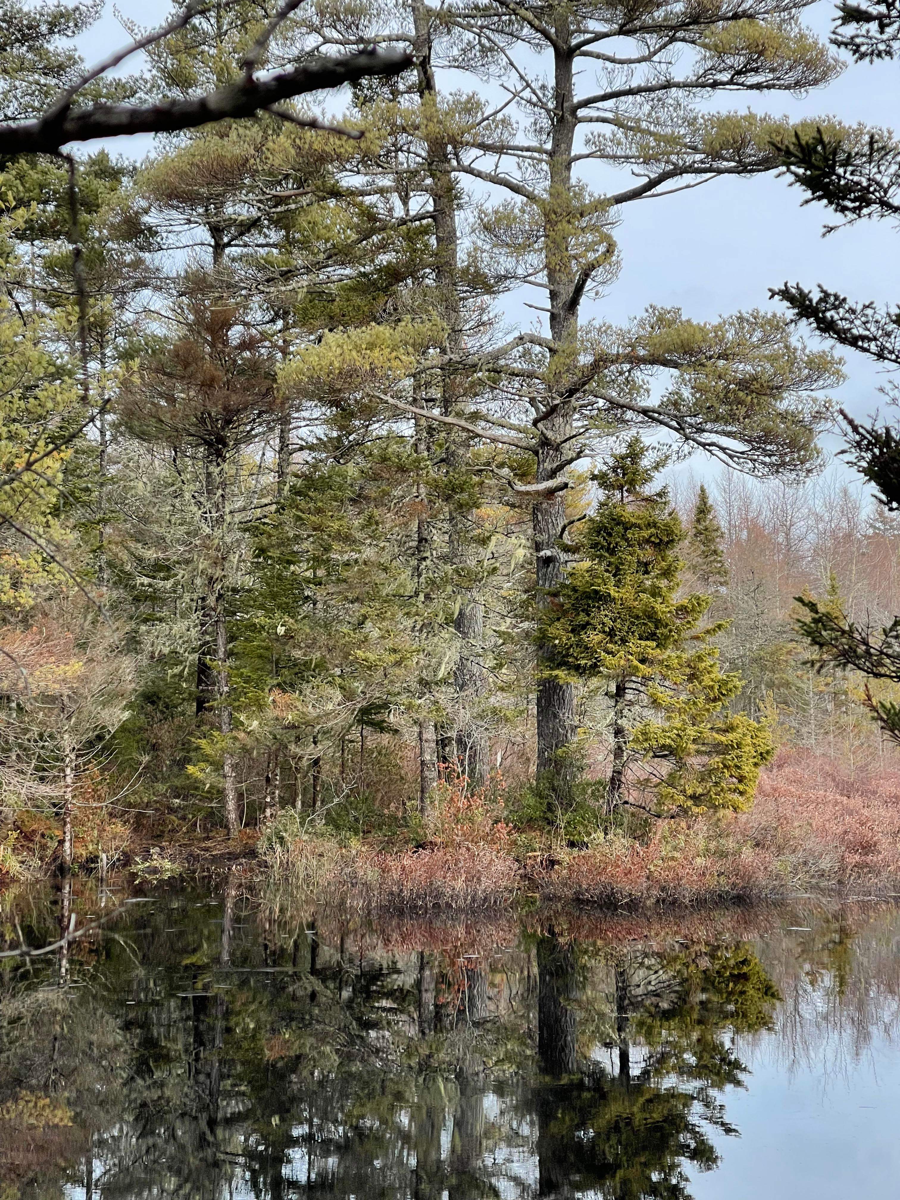 Advanced level, but sooooo pretty on the lake.