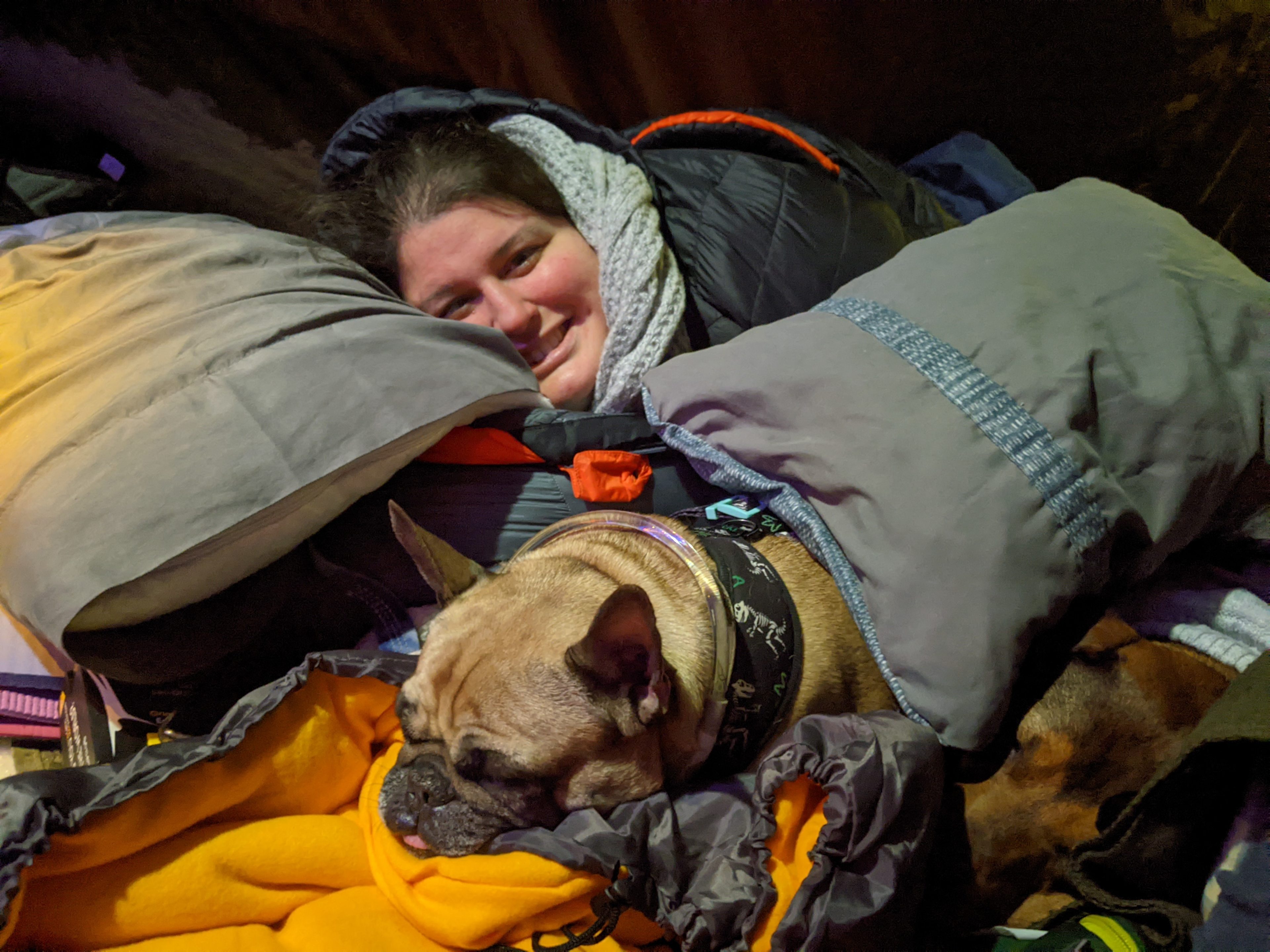 snuggled up for the night