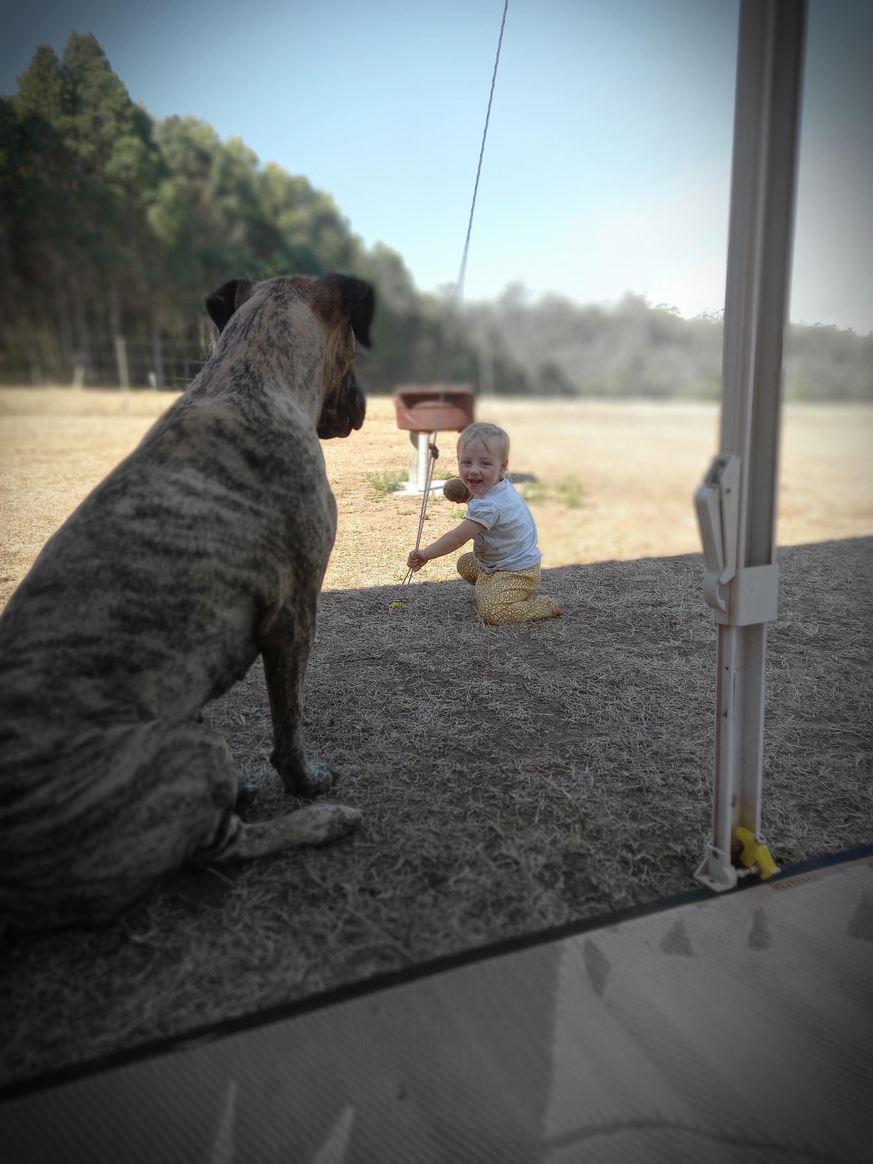 Bub and Simba (Dog) just mucking around camp