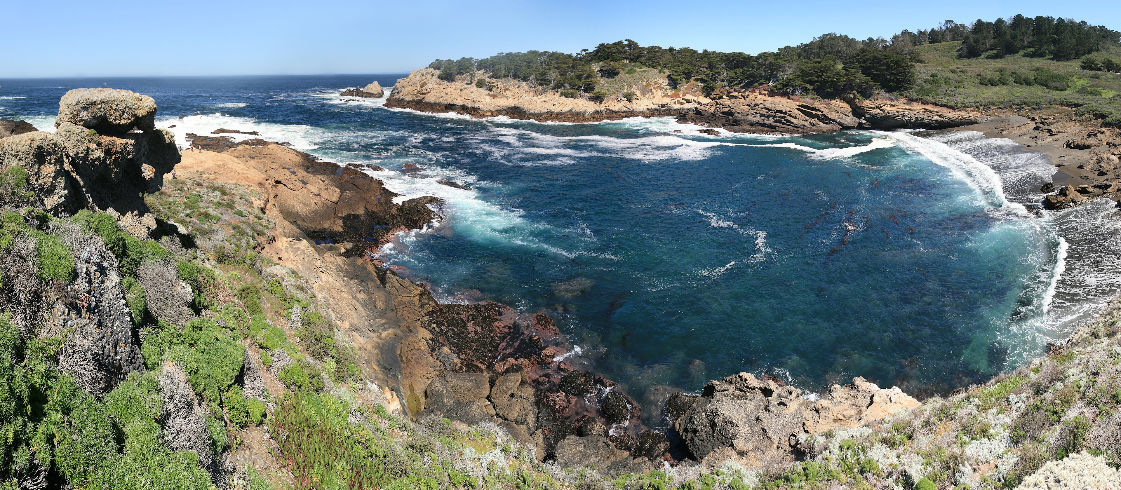 Point Lobos State Natural Reserve