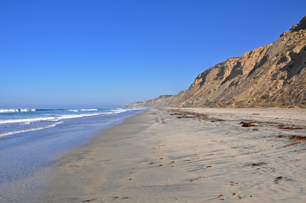 Torrey Pines State Beach