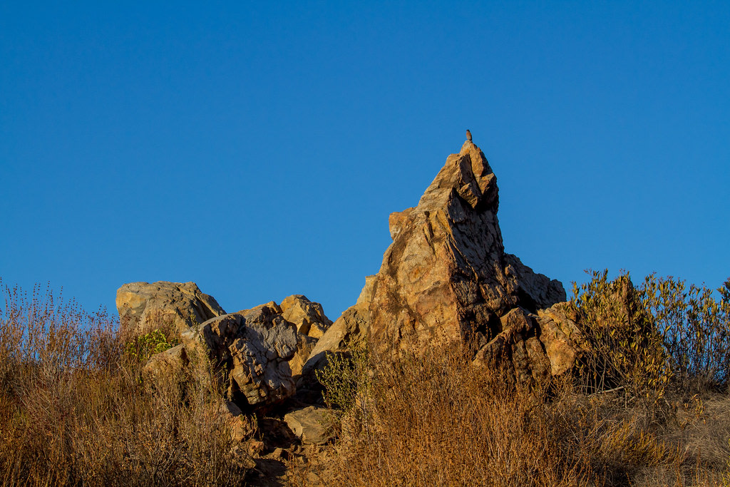 Placerita Canyon State Park