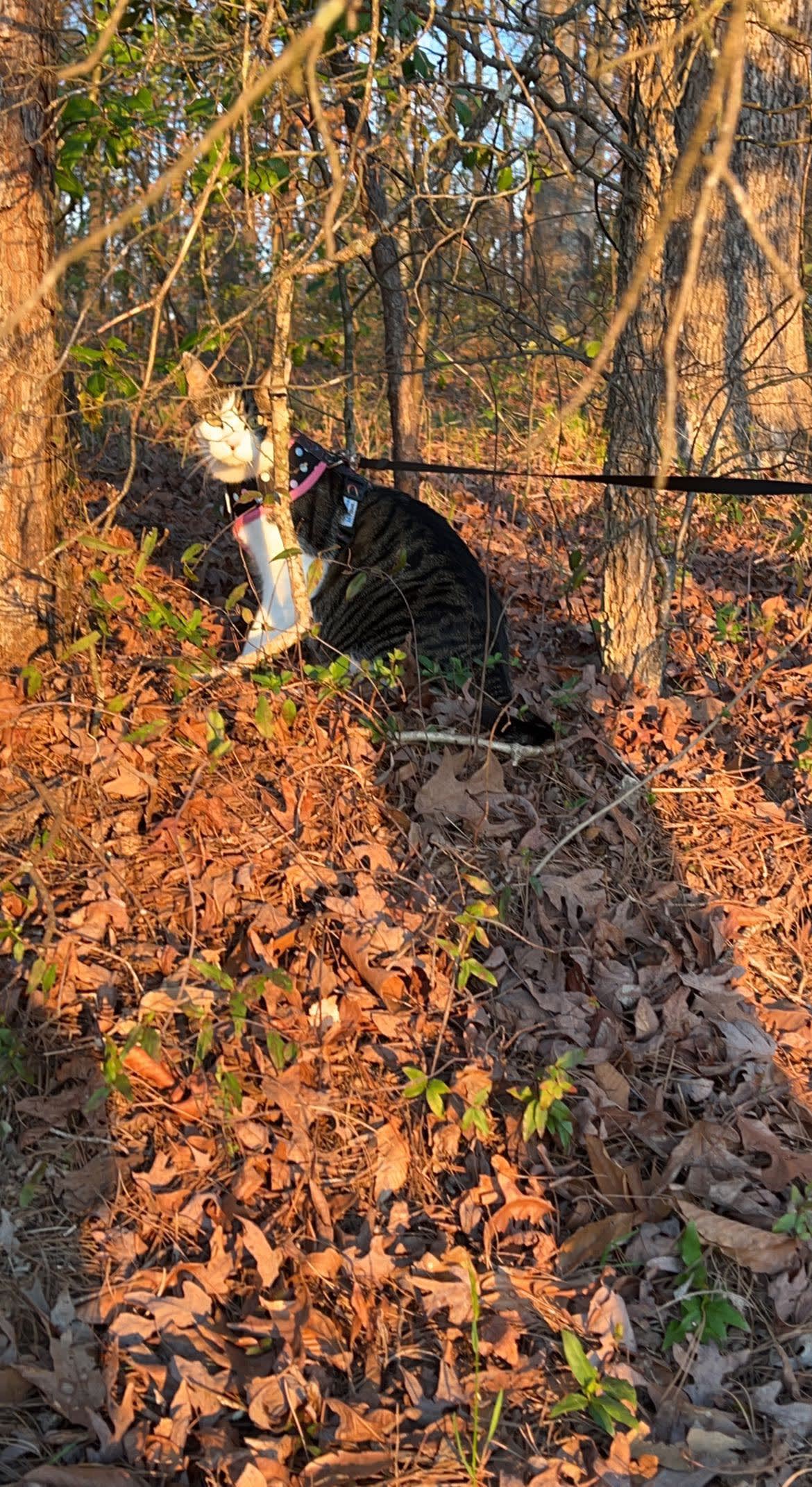 We are a brewery located on a farm.