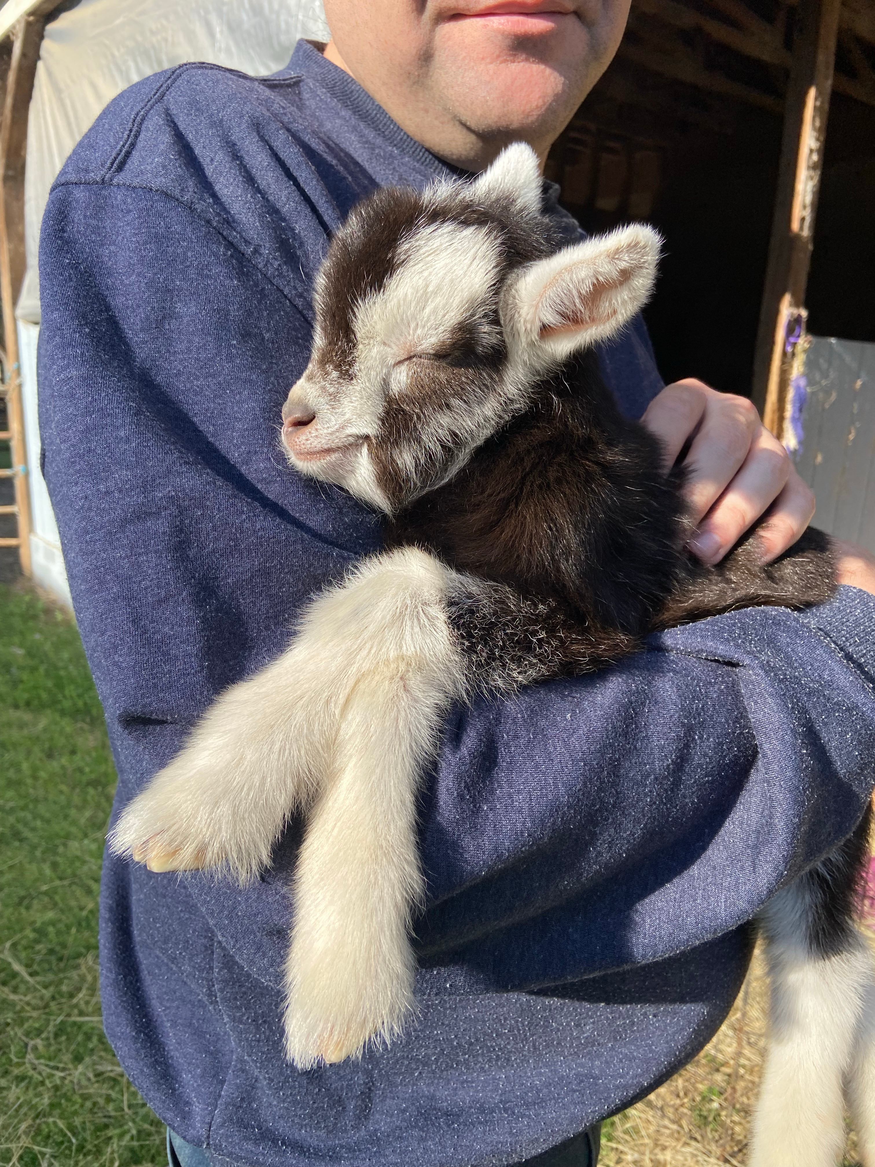 Legacy Farms Leisure Area