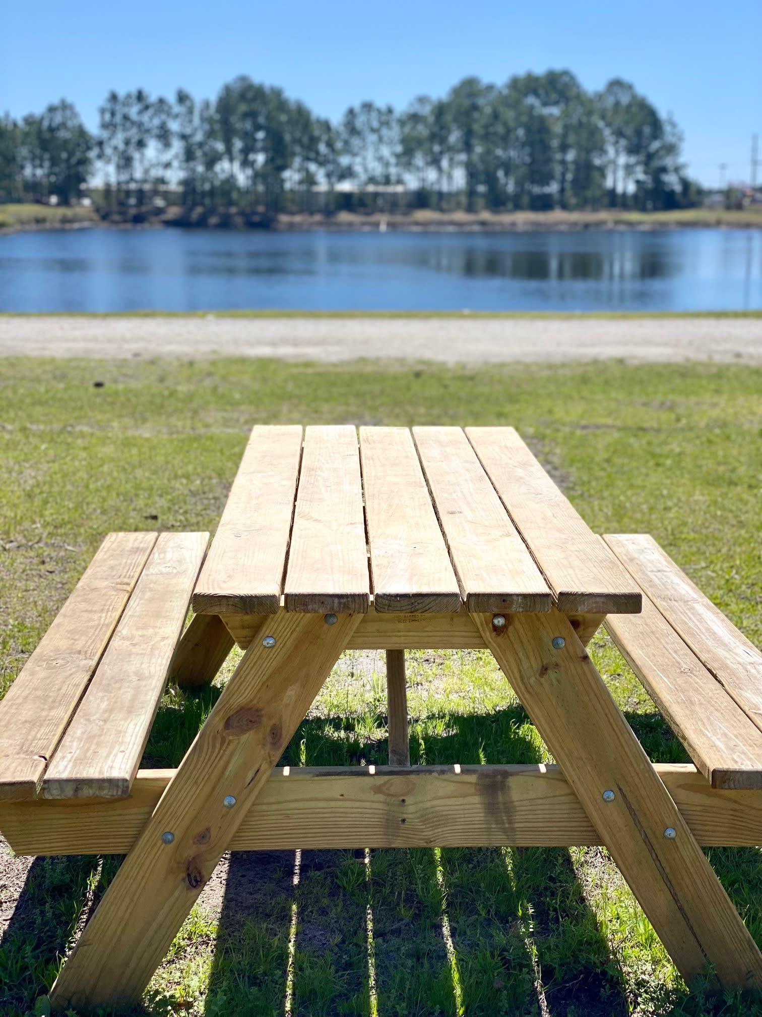 A picnic by the lake? Yes Please!
