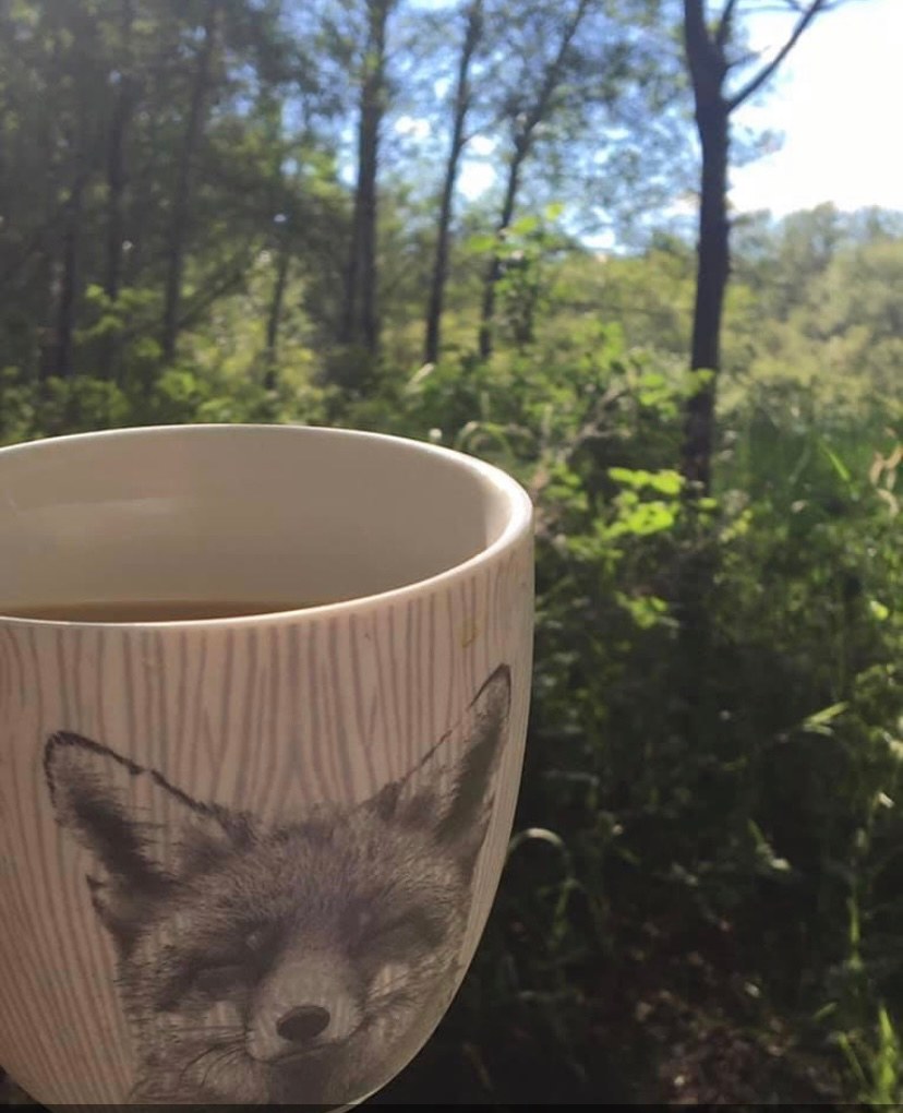 Good morning…happy camper 🥰