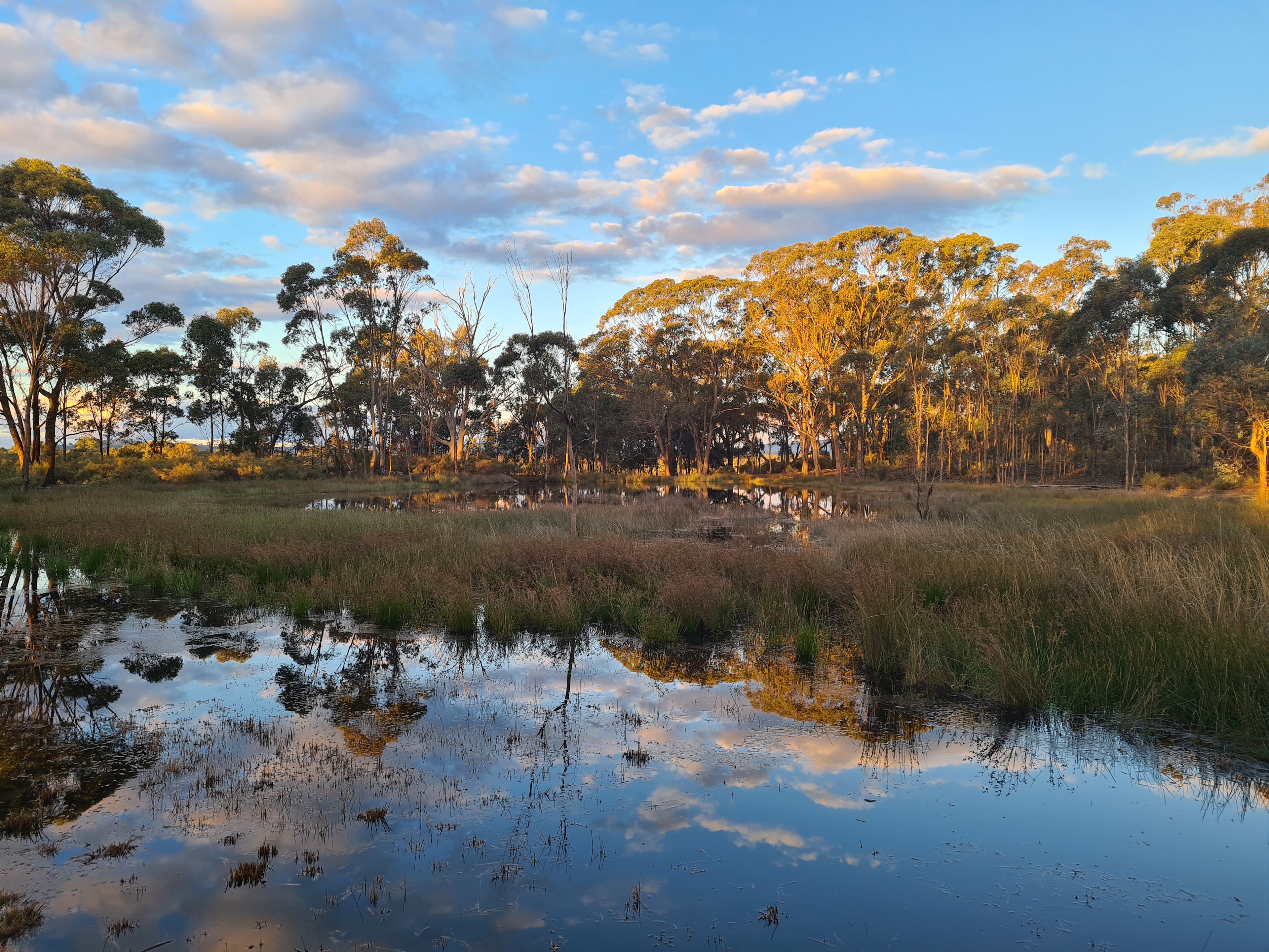 View of Wetlands