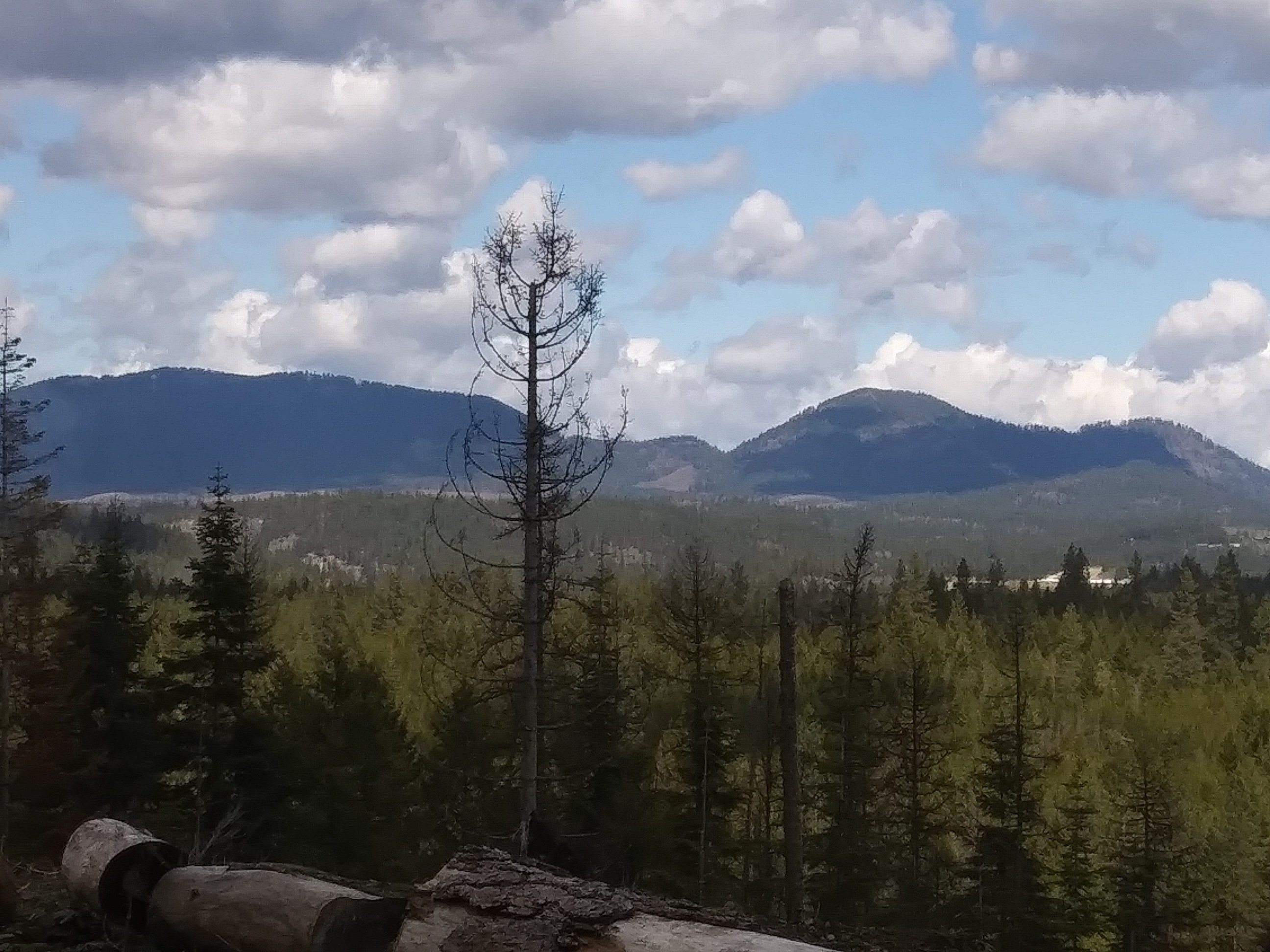 Views from site