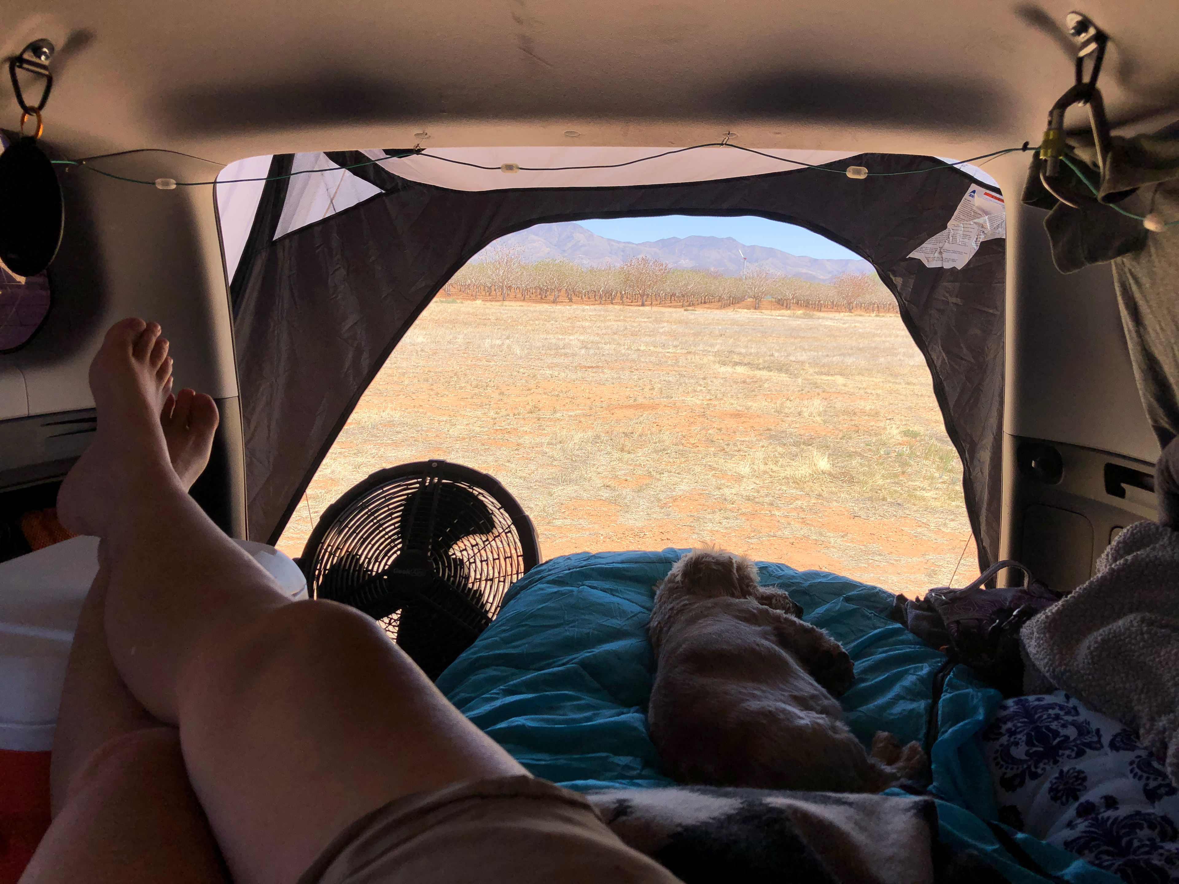 Pretty open, that's for sure