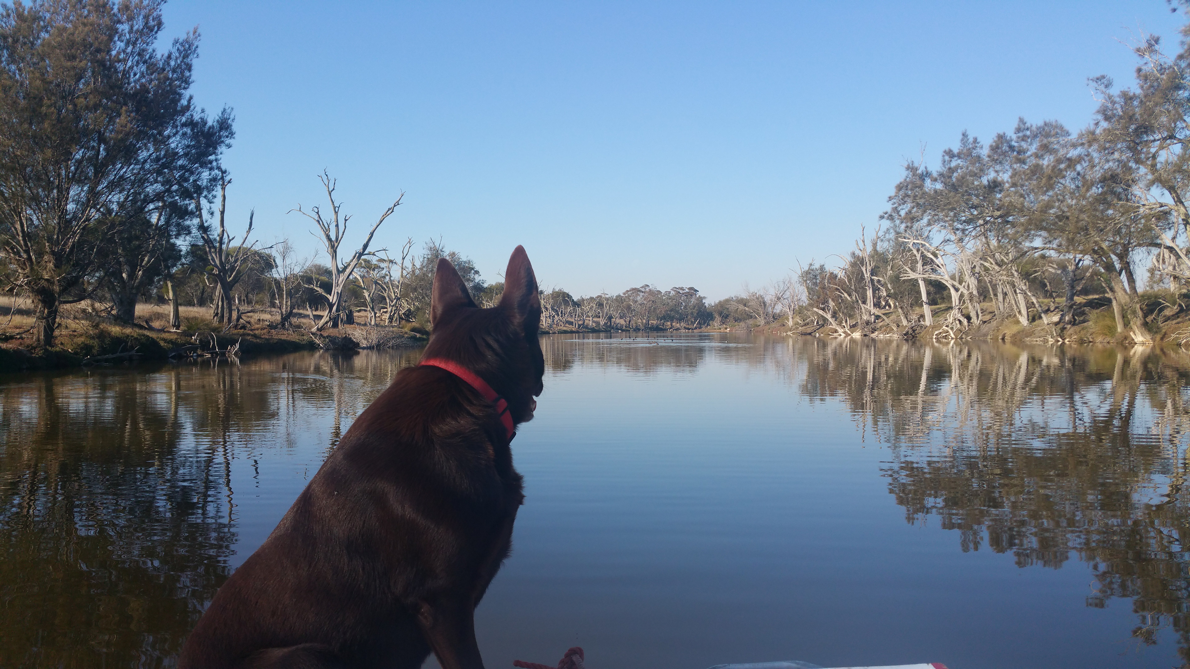 Captain Nigel on the river