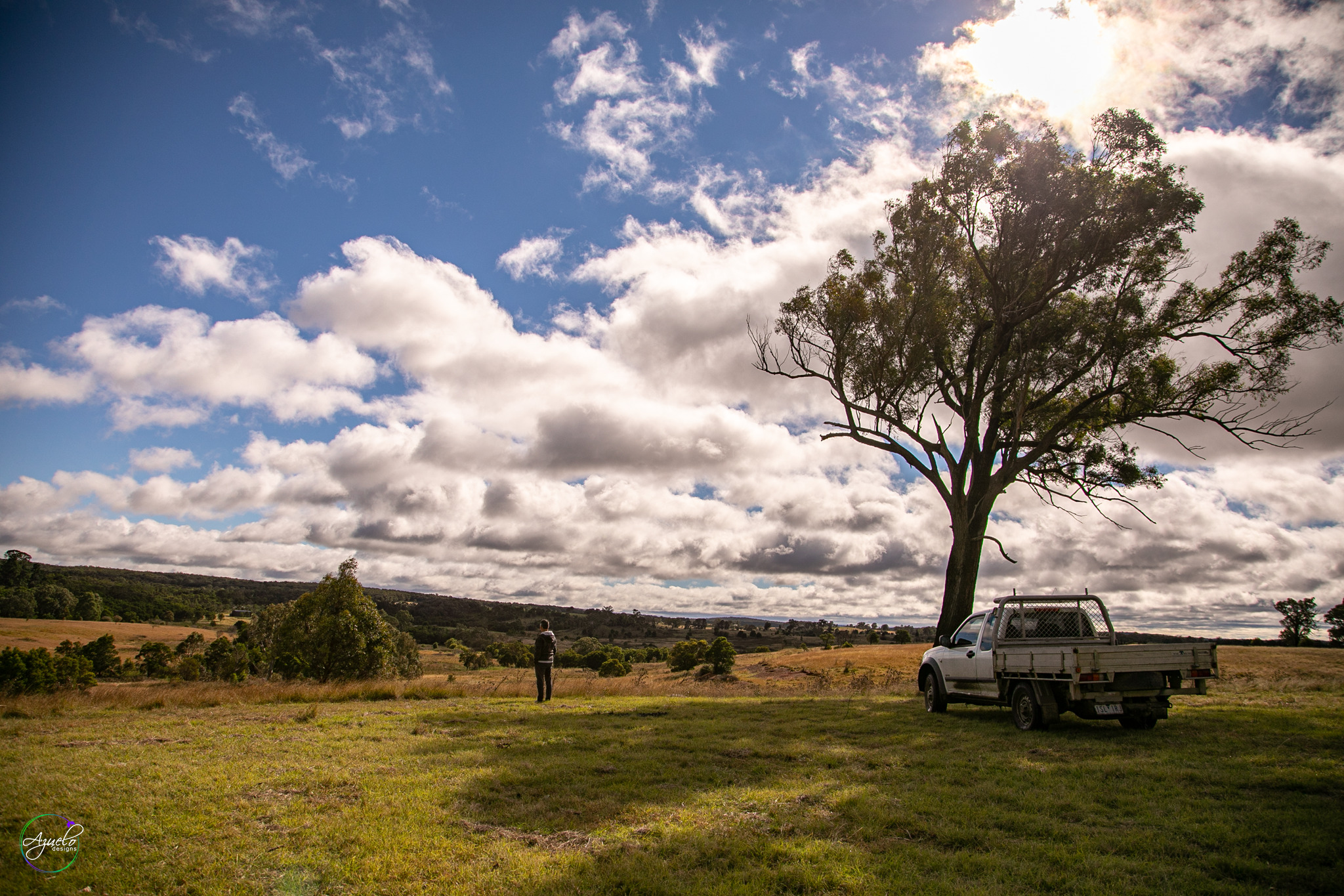 The Hobby Sheep Farm