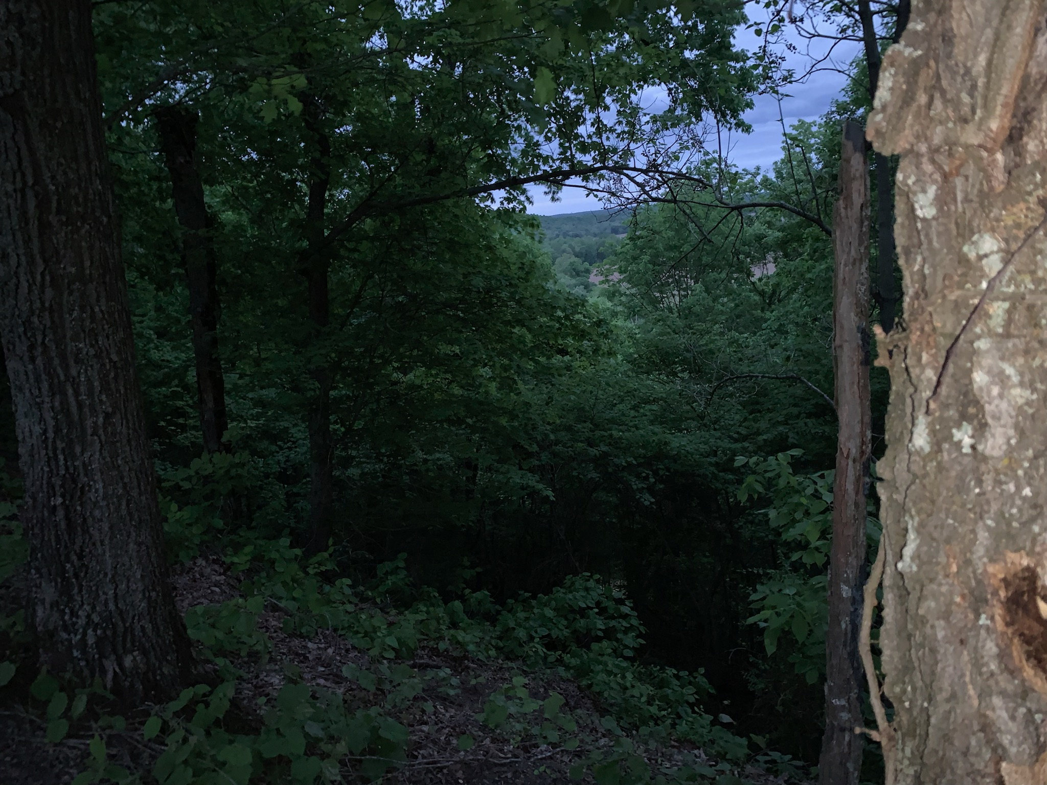 Green River Primitive