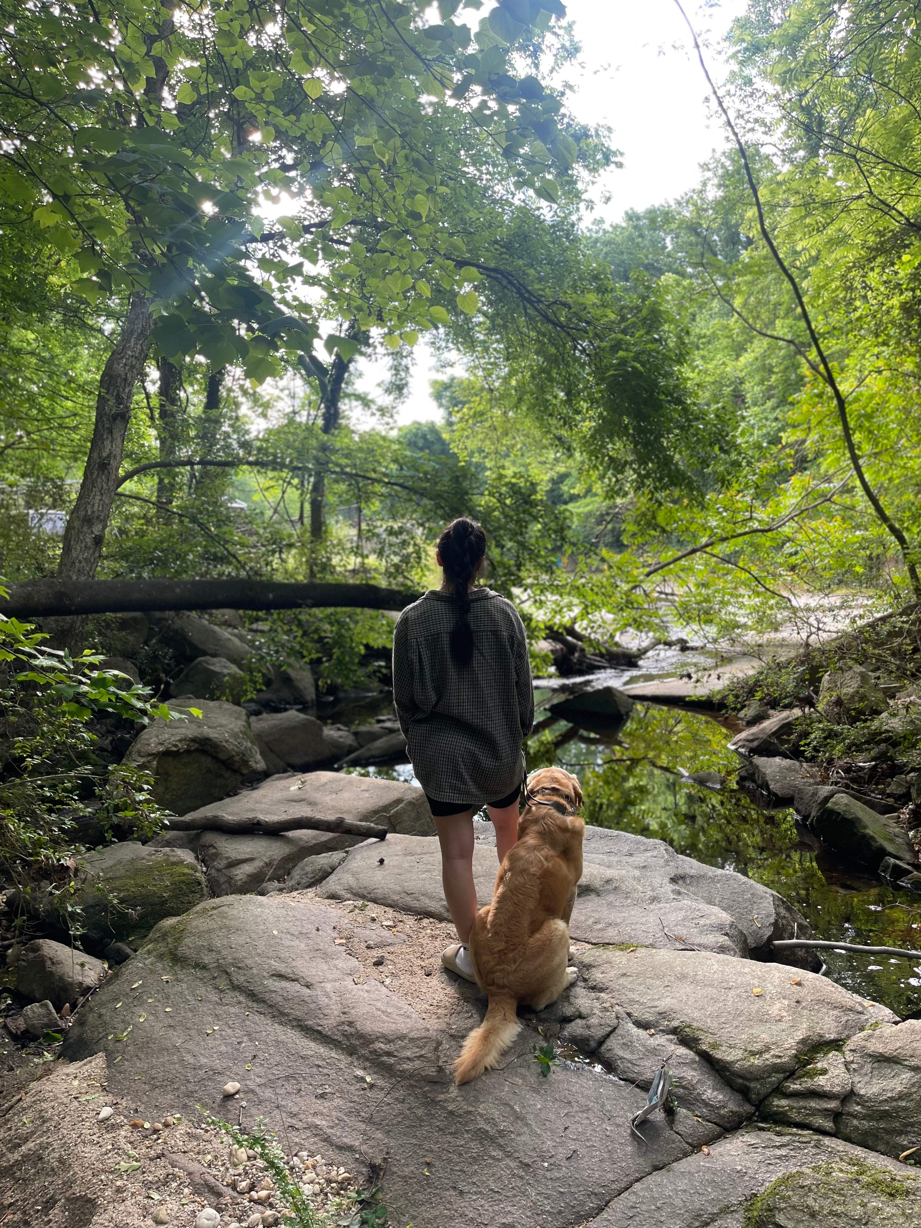 City Camp on Reedy Creek