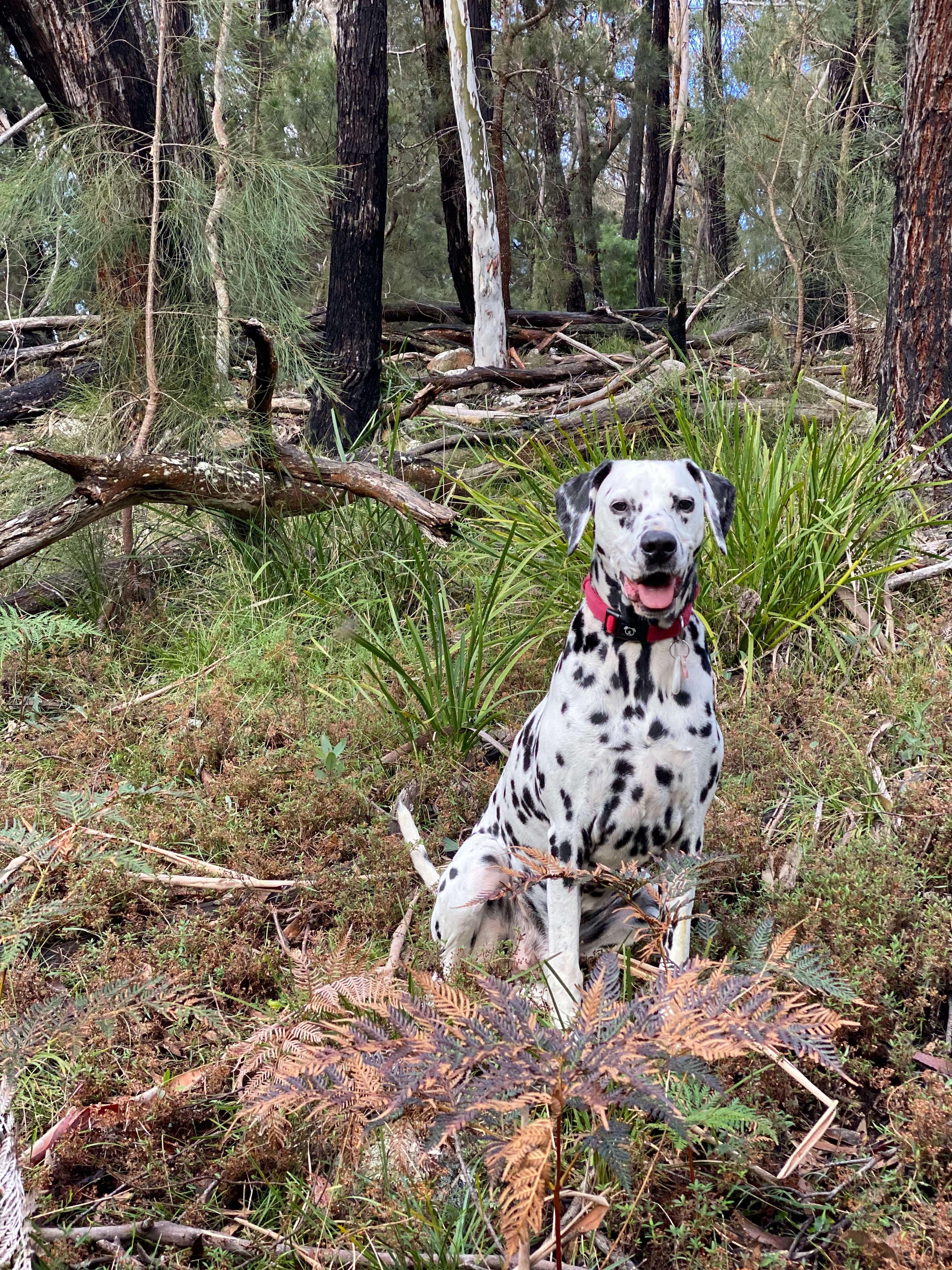 Monastery of 11 Strings
