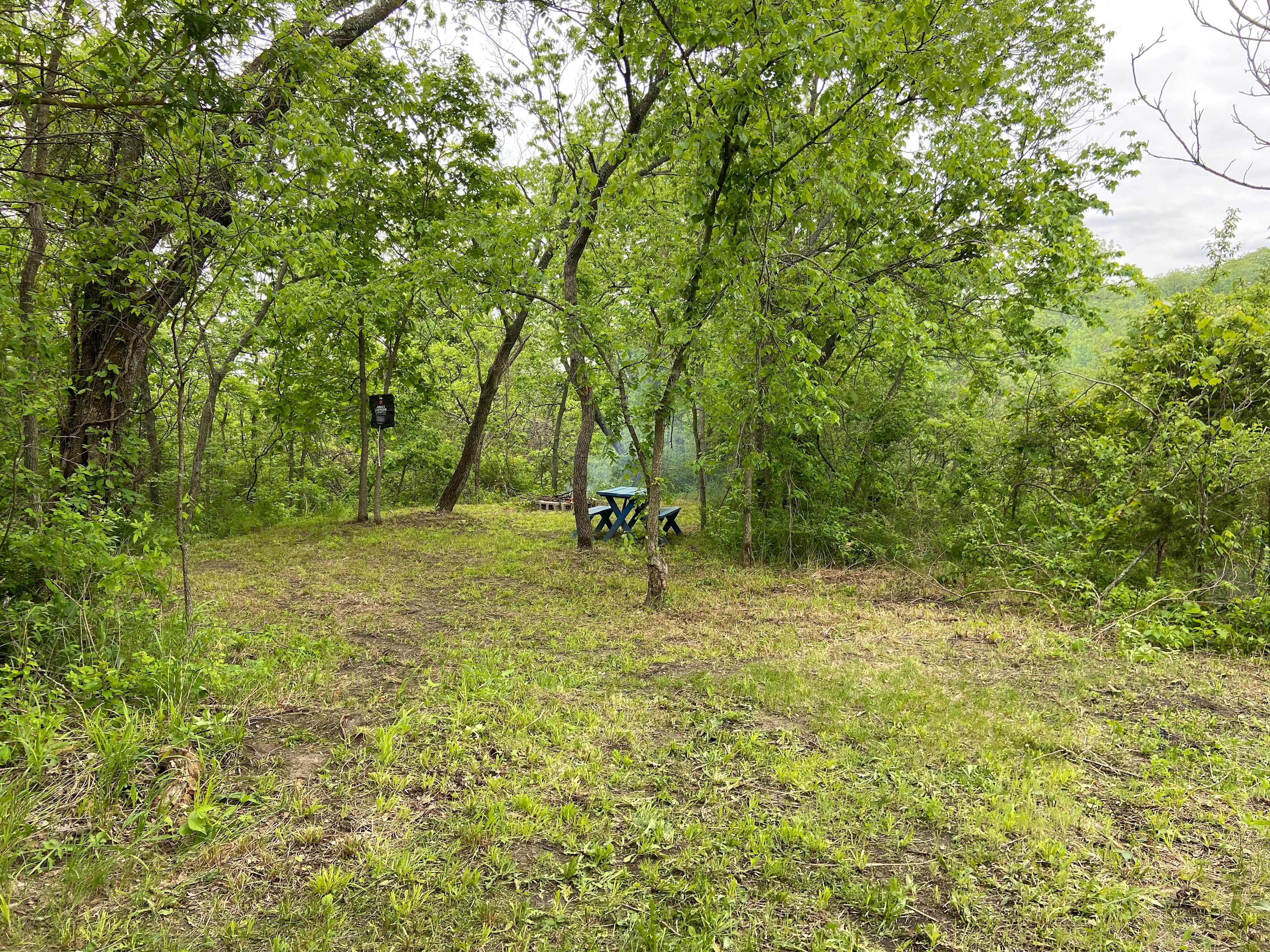 Camping shower, picnic table & fire pit for cooking or campfires. 